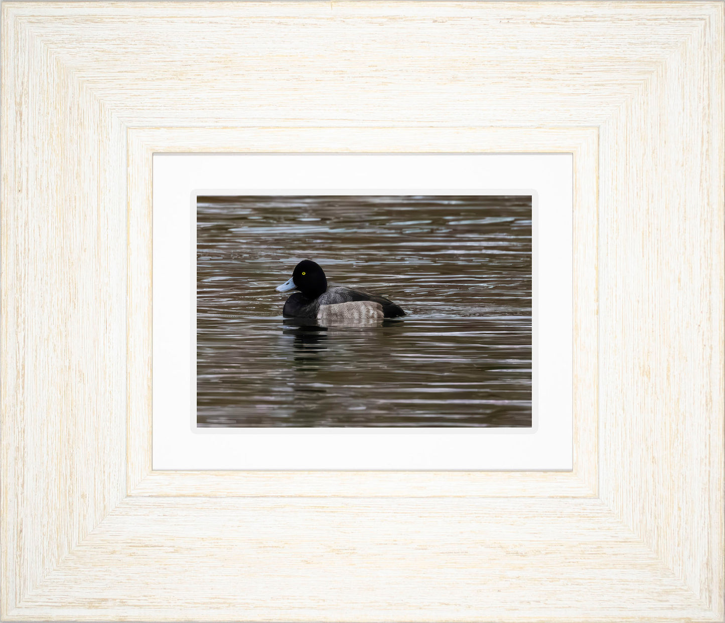 Solo Blue Bill Drake #1