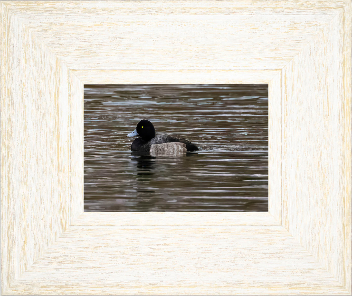 Solo Blue Bill Drake #1