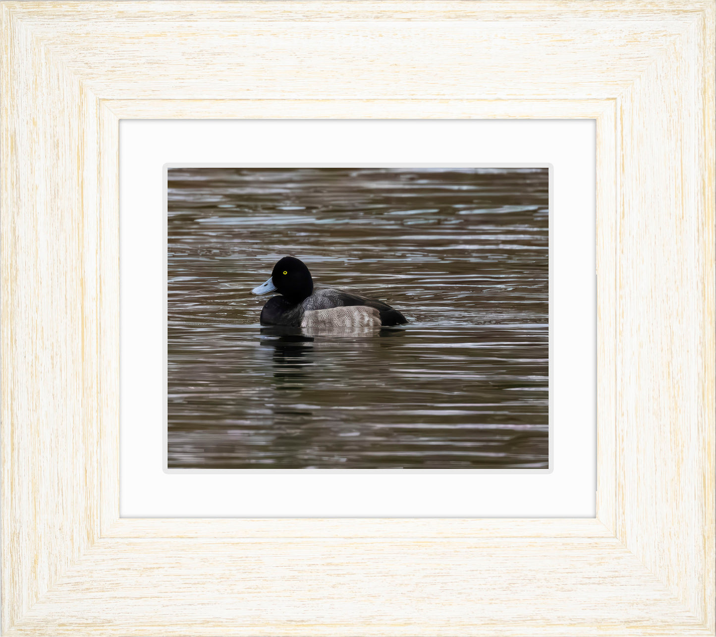 Solo Blue Bill Drake #1