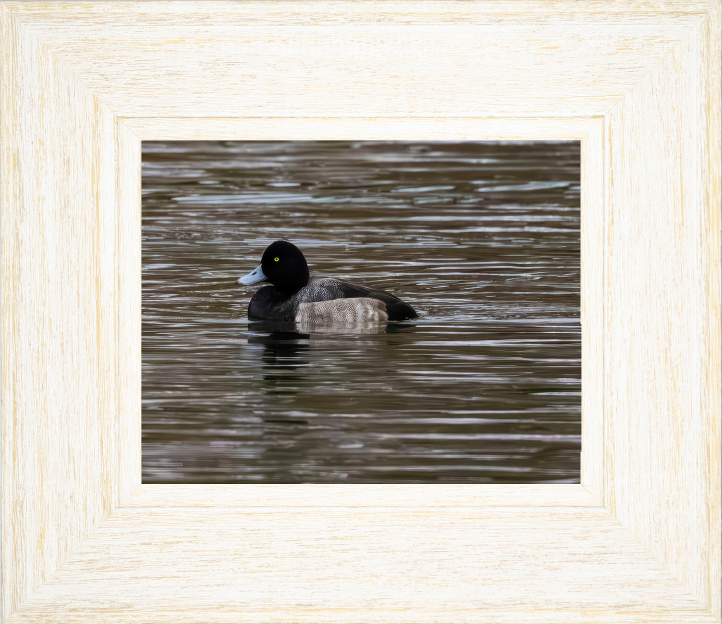 Solo Blue Bill Drake #1