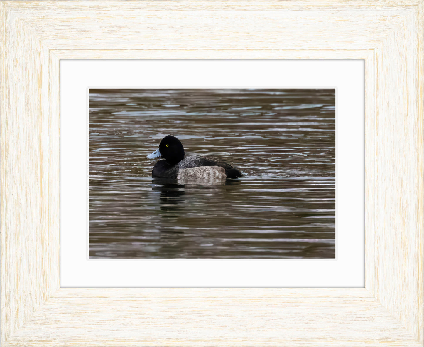 Solo Blue Bill Drake #1