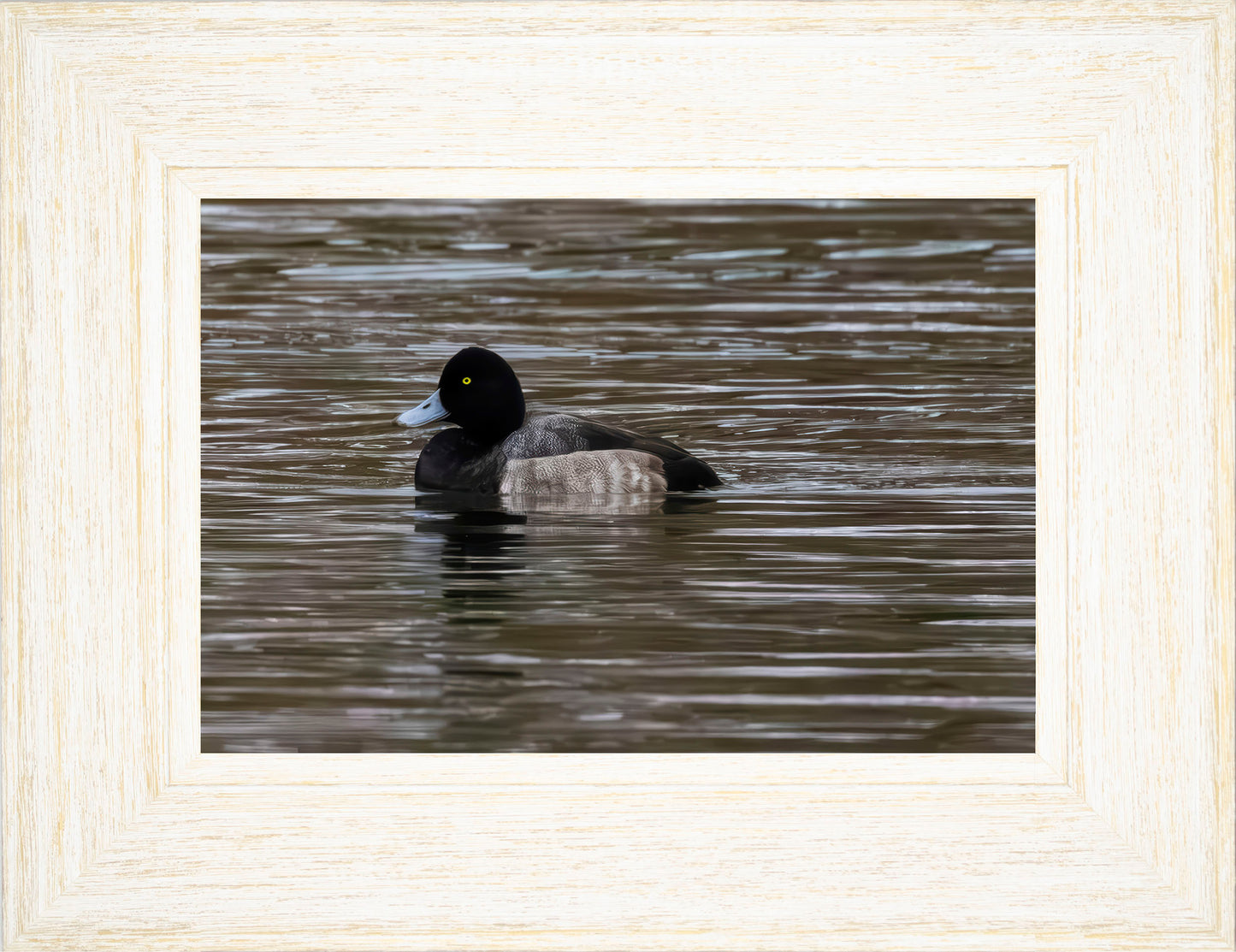 Solo Blue Bill Drake #1