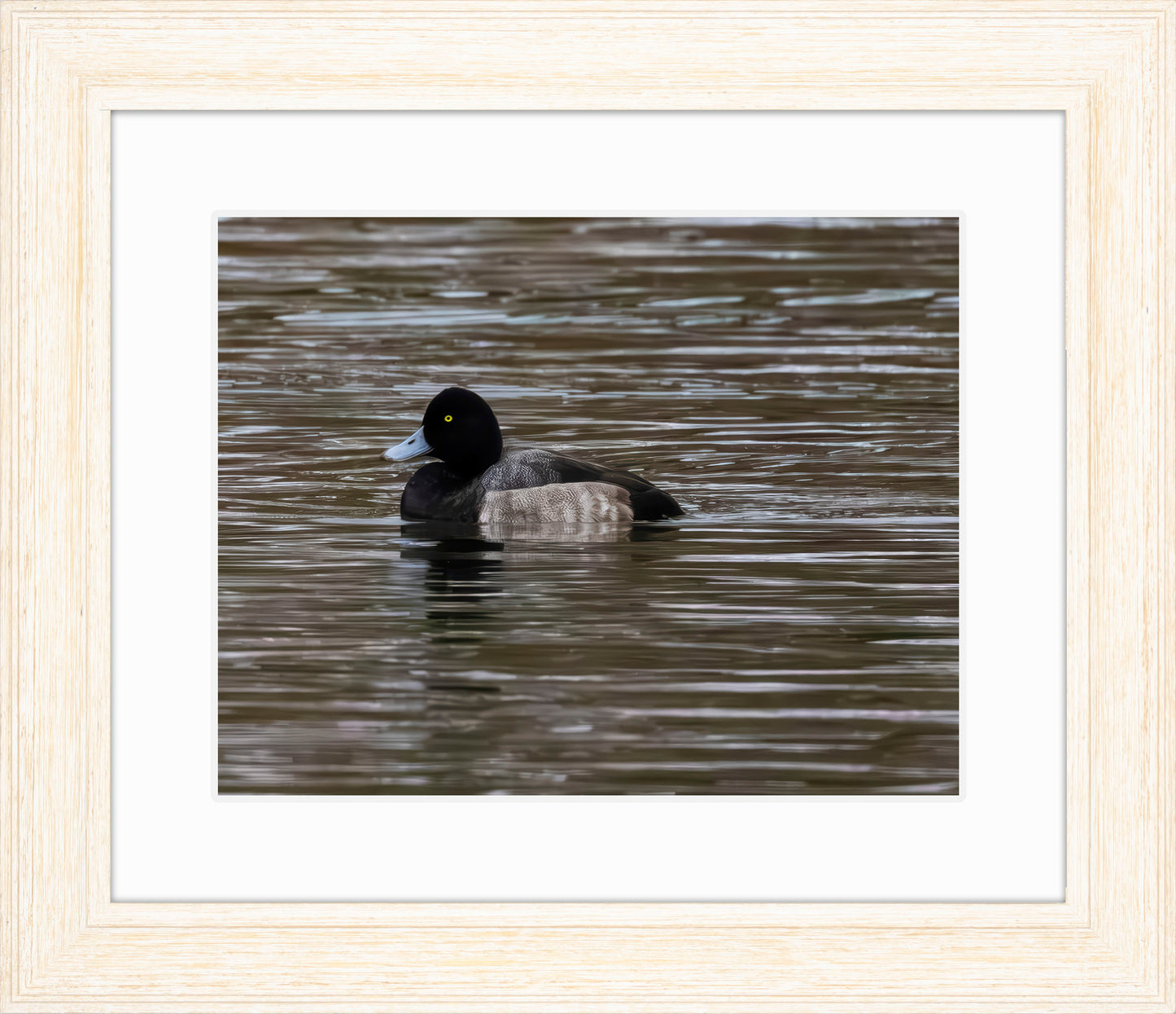 Solo Blue Bill Drake #1