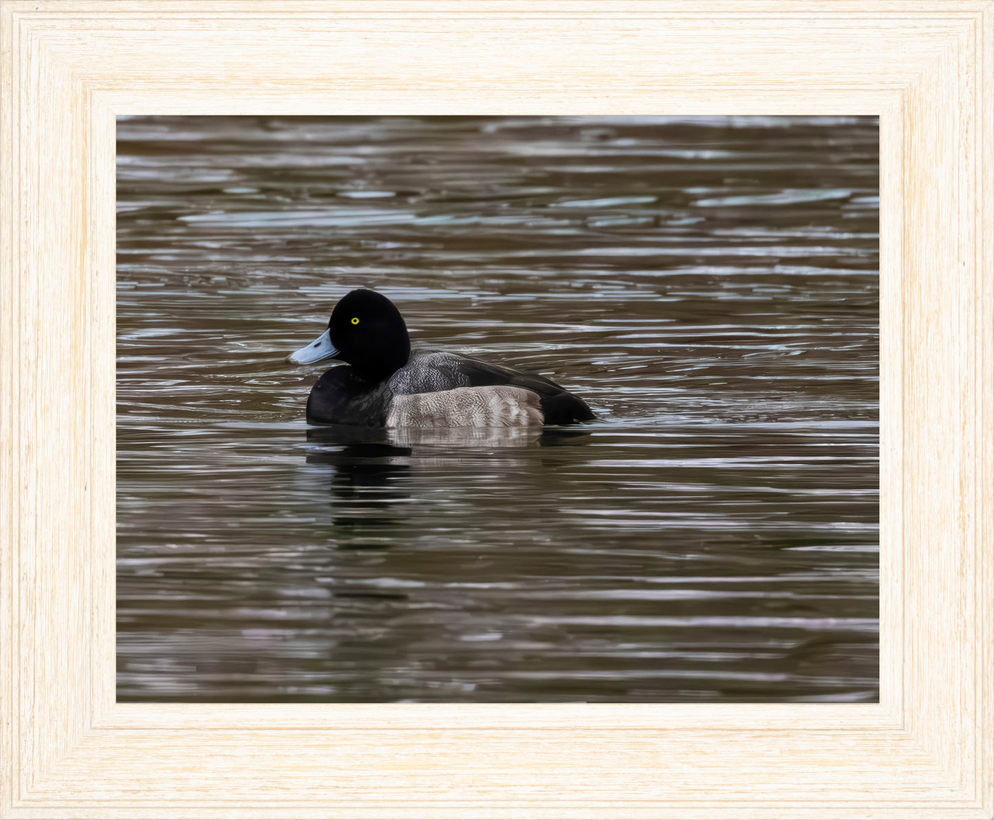 Solo Blue Bill Drake #1