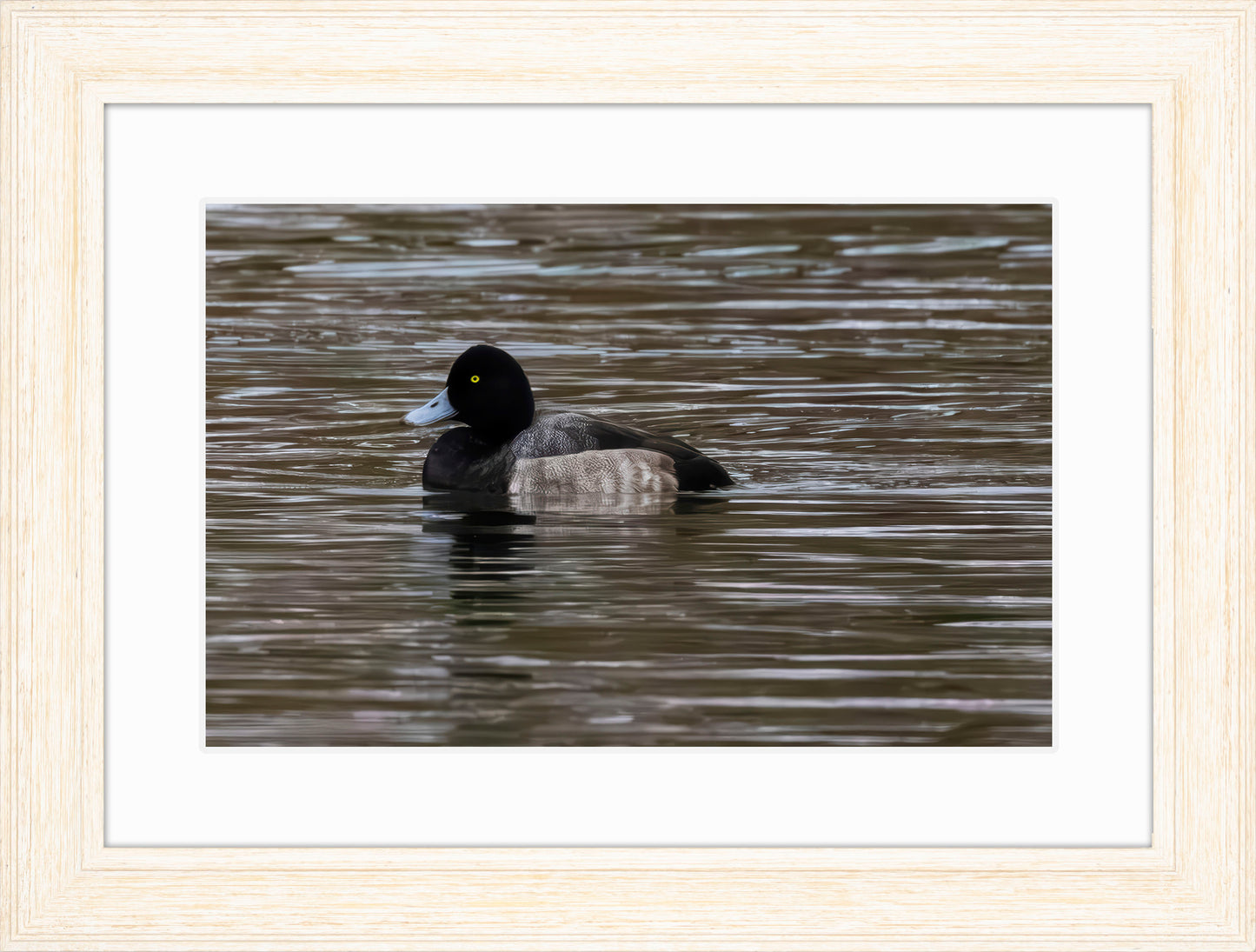 Solo Blue Bill Drake #1