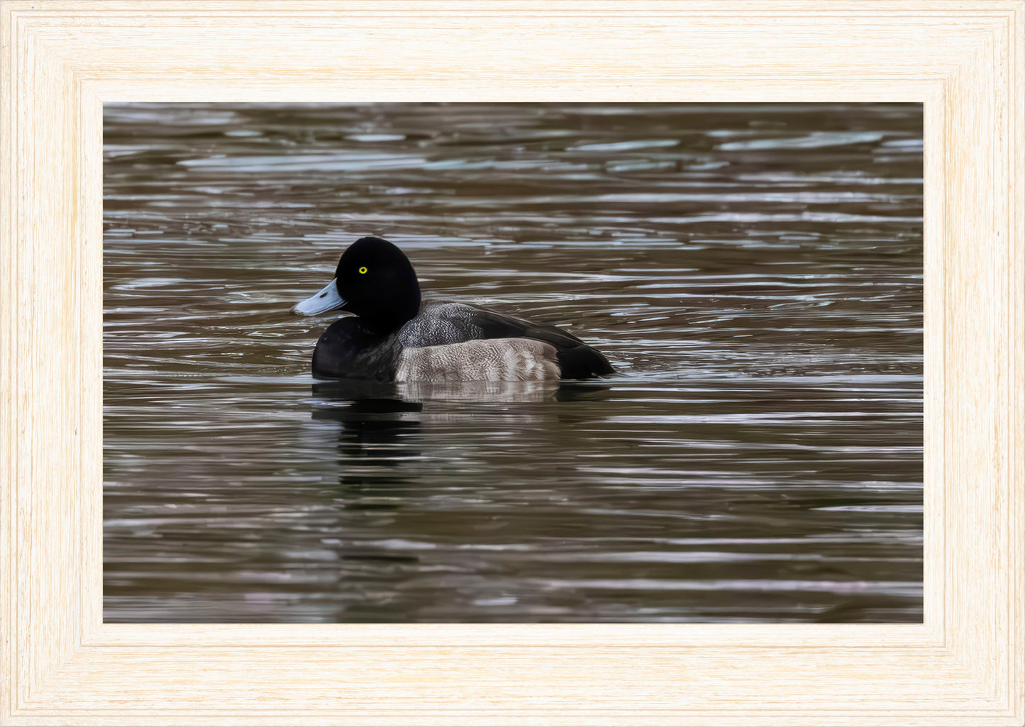 Solo Blue Bill Drake #1