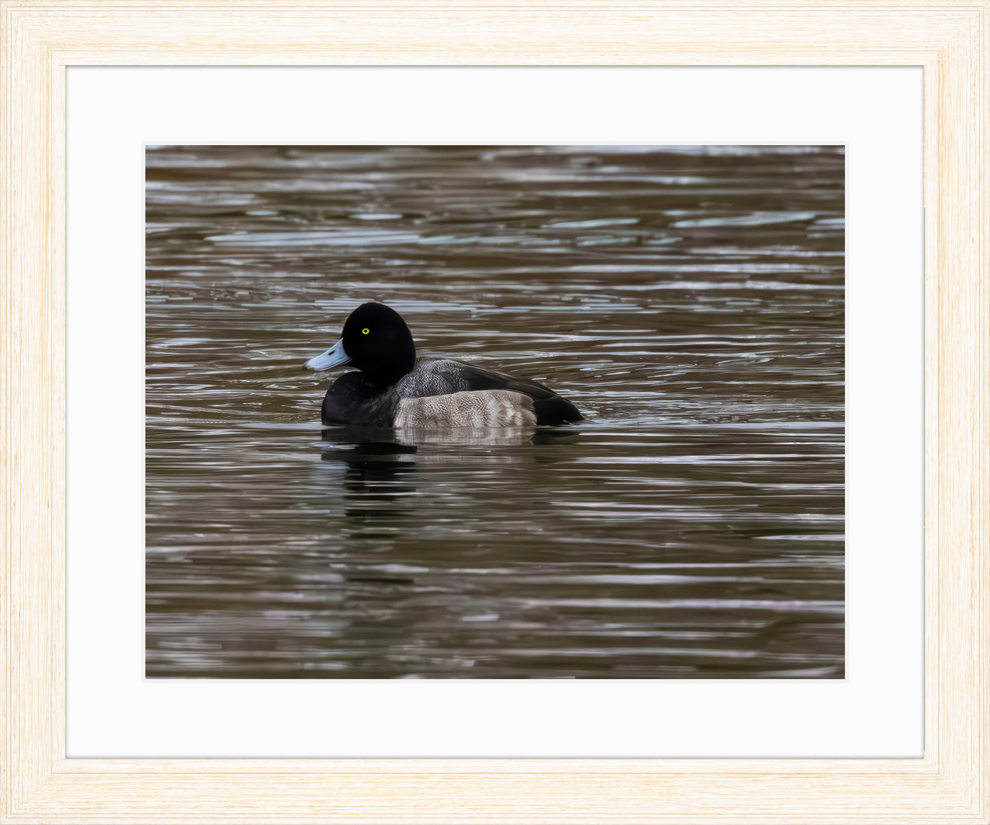 Solo Blue Bill Drake #1