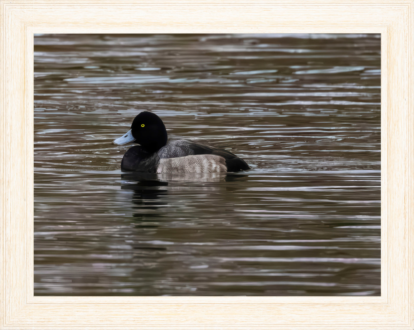 Solo Blue Bill Drake #1