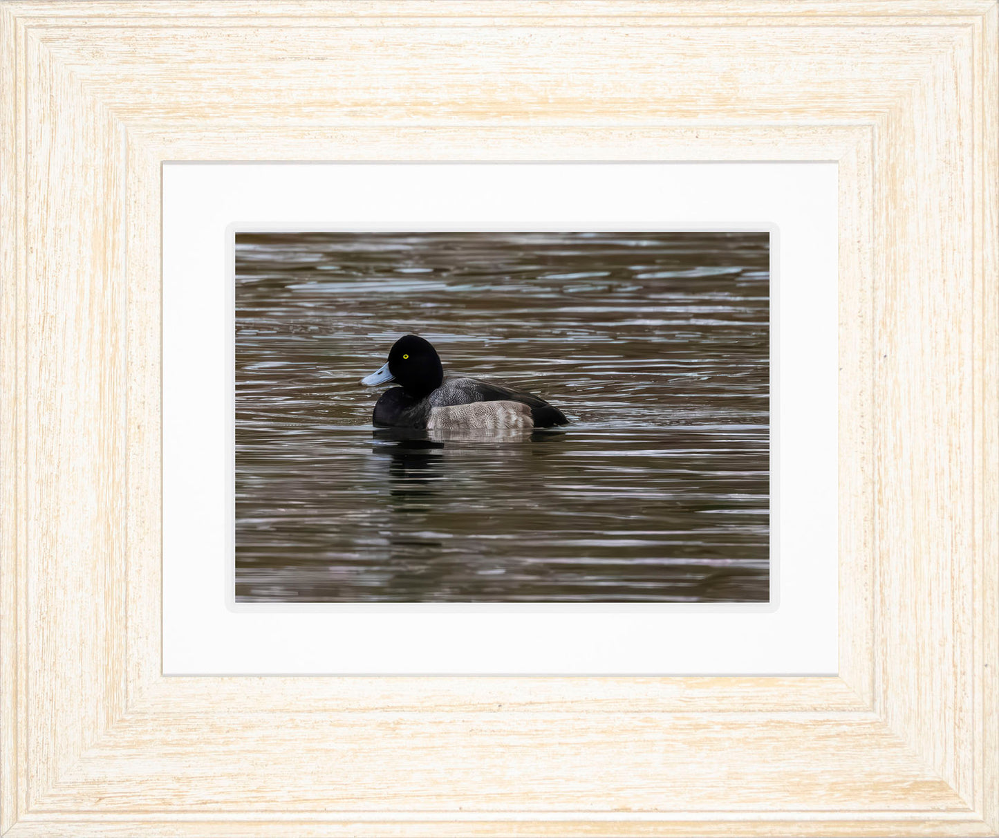 Solo Blue Bill Drake #1