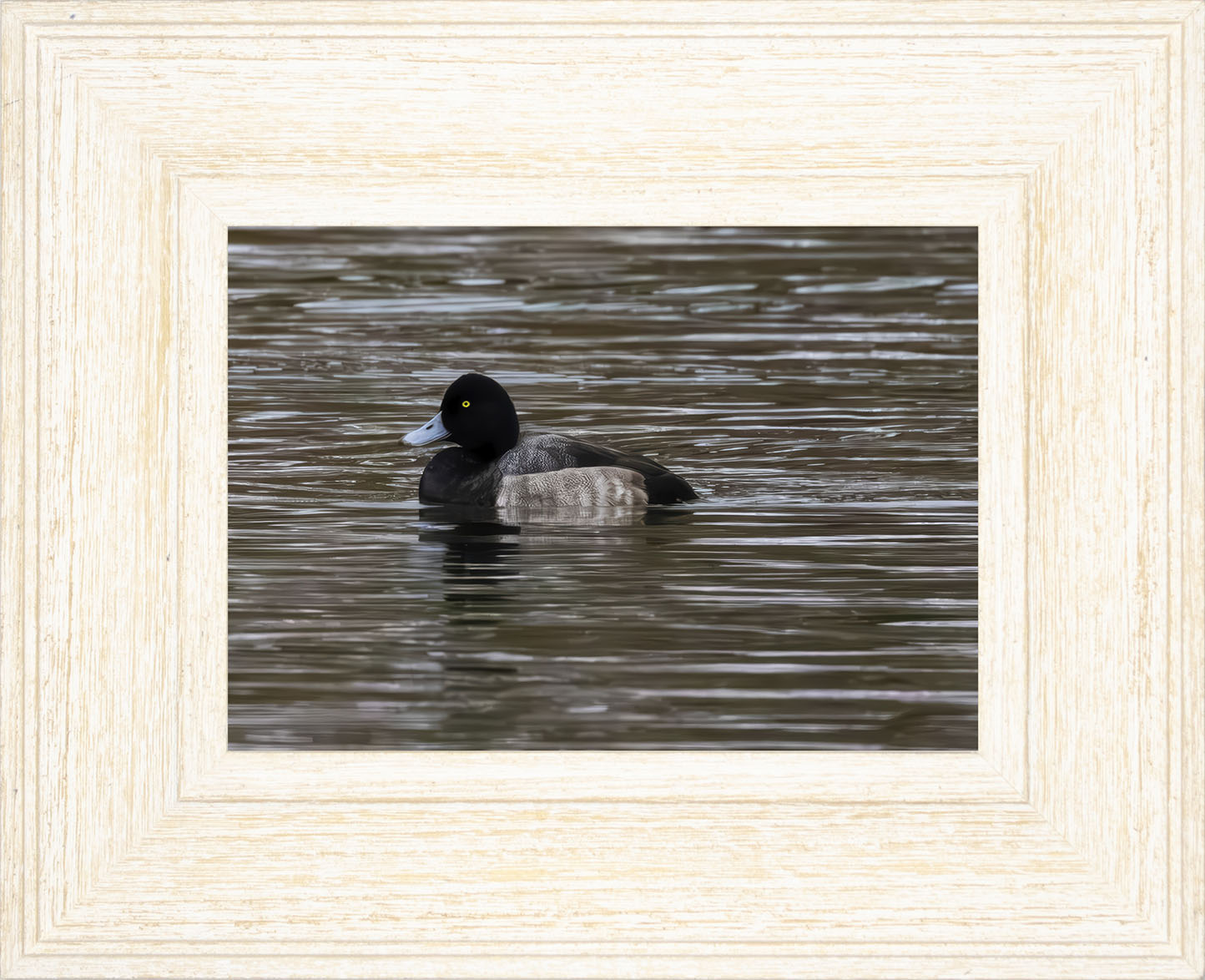 Solo Blue Bill Drake #1