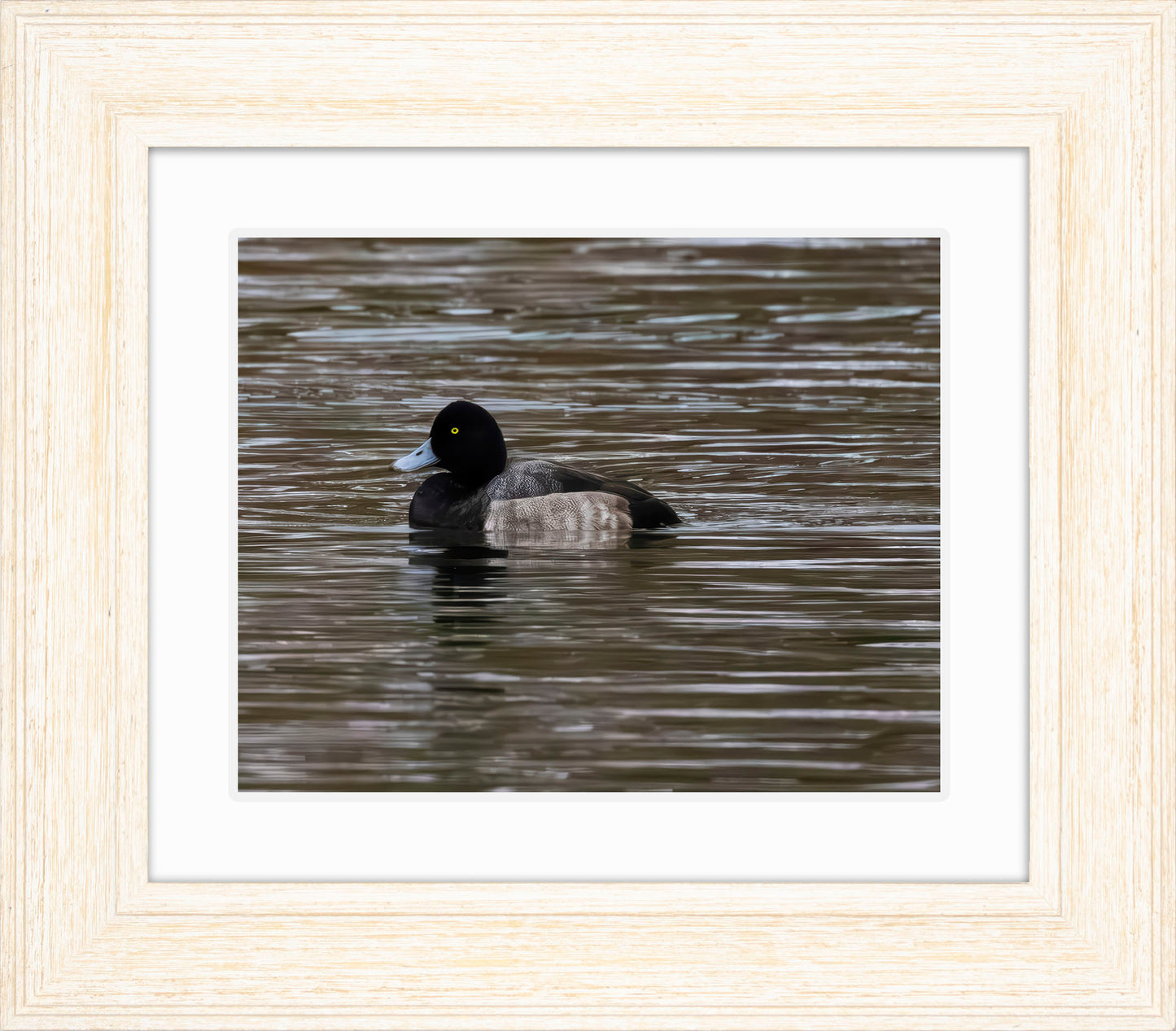 Solo Blue Bill Drake #1