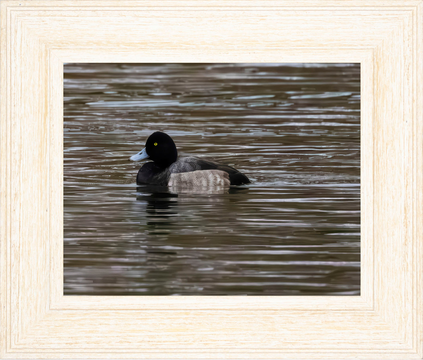 Solo Blue Bill Drake #1