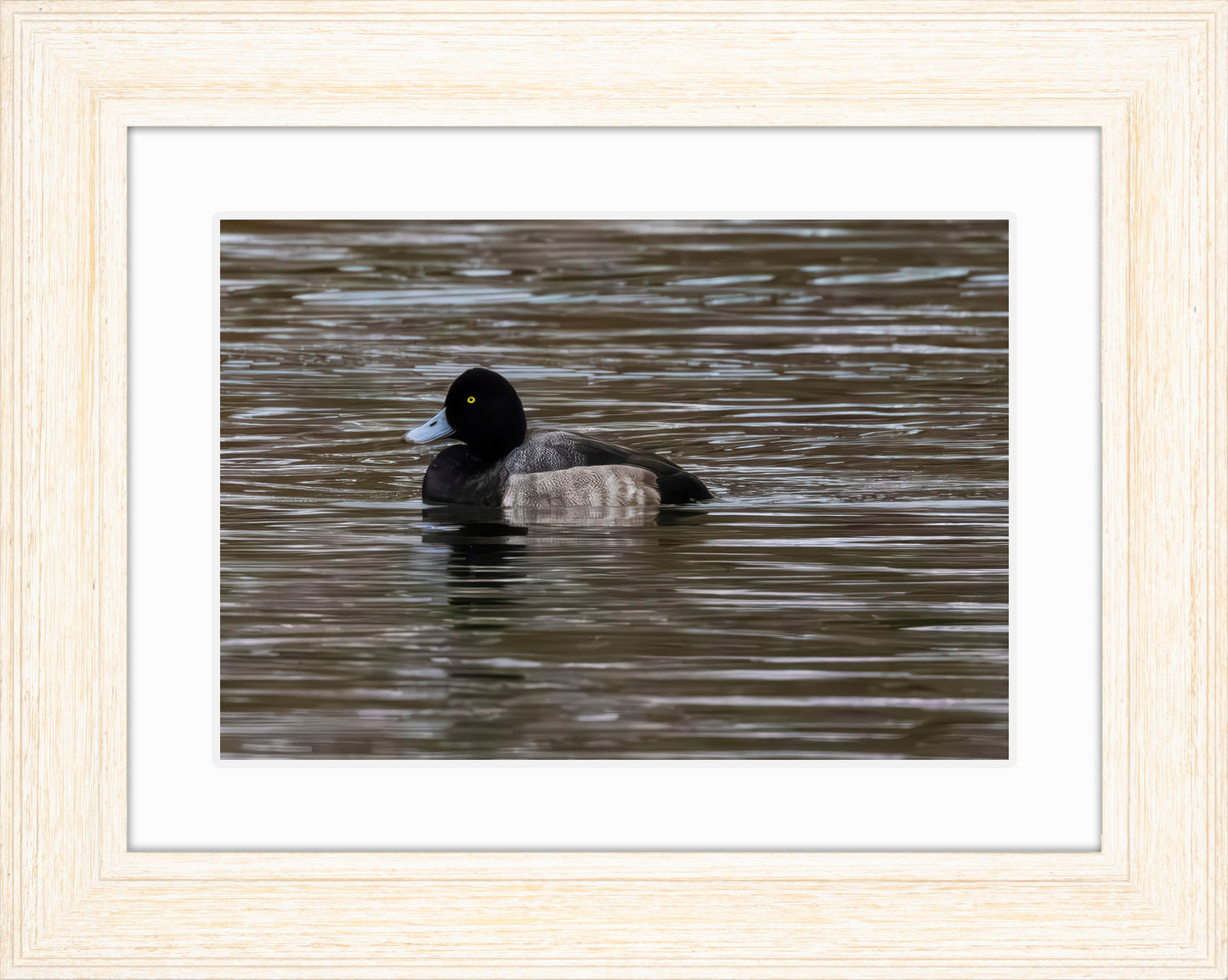 Solo Blue Bill Drake #1