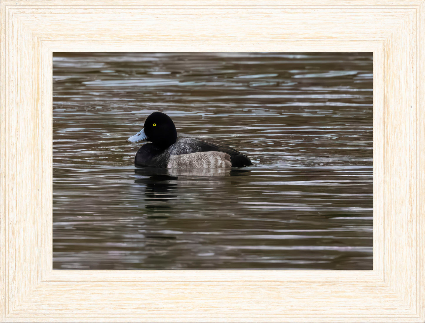 Solo Blue Bill Drake #1