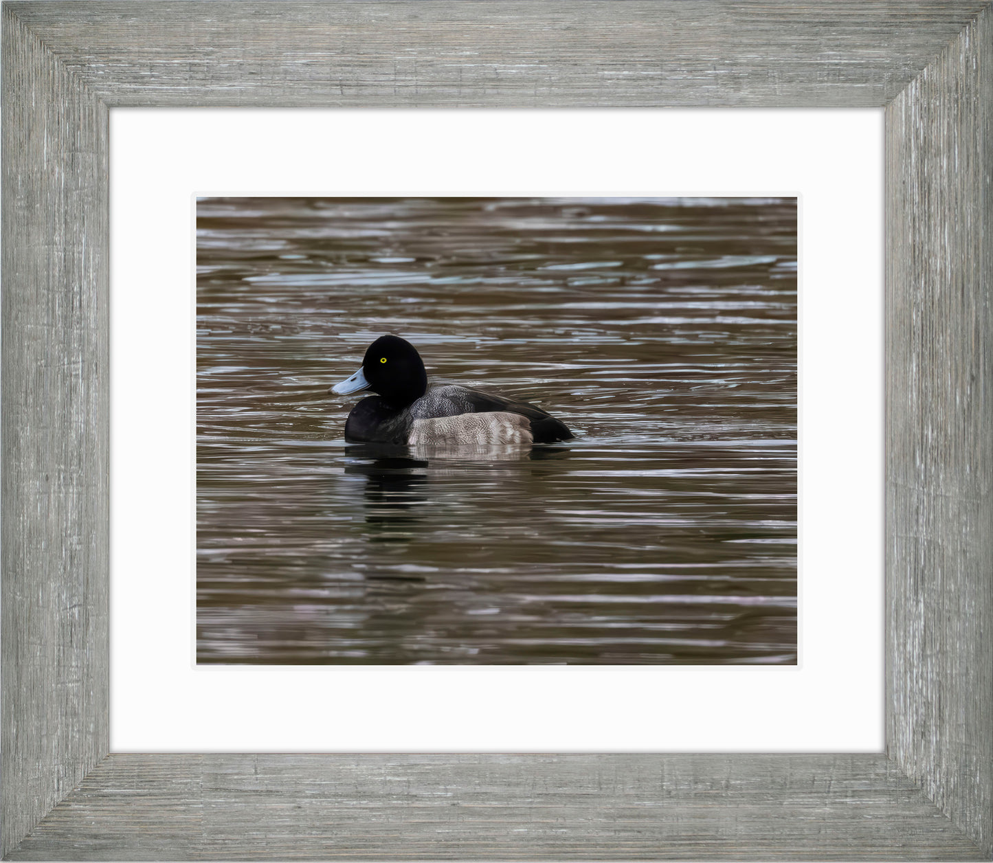 Solo Blue Bill Drake #1