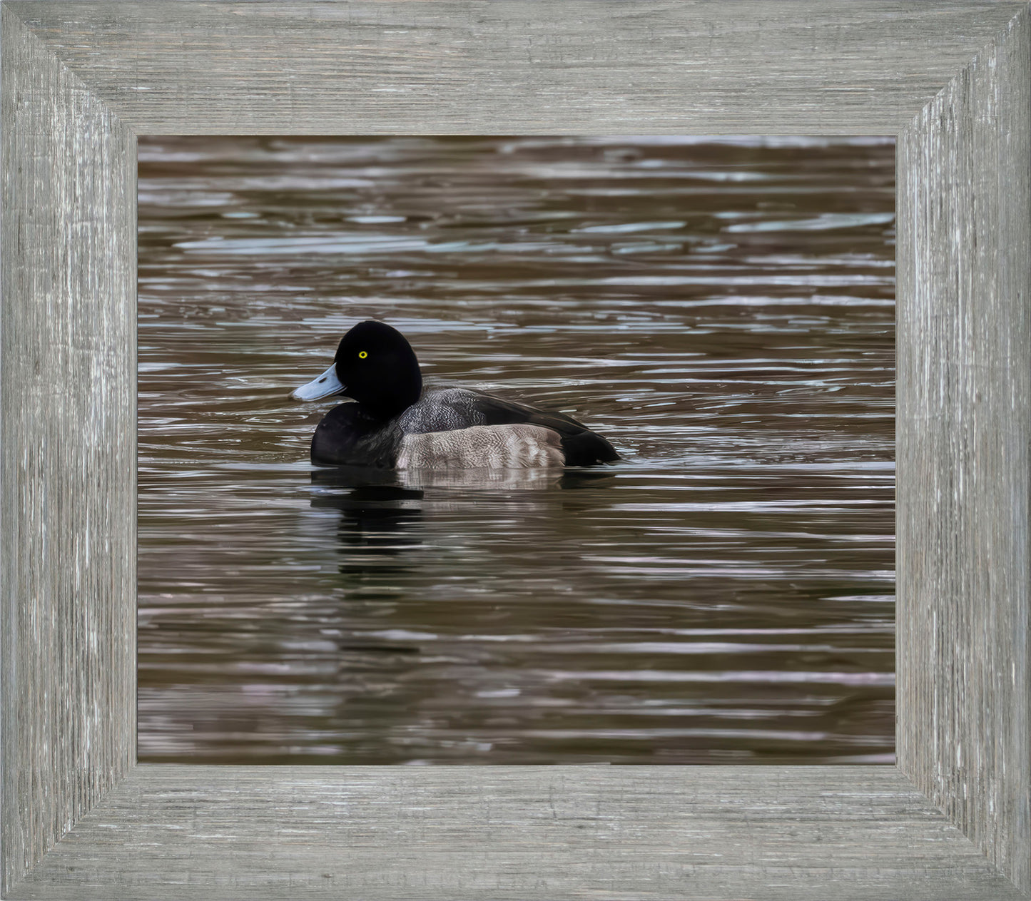 Solo Blue Bill Drake #1