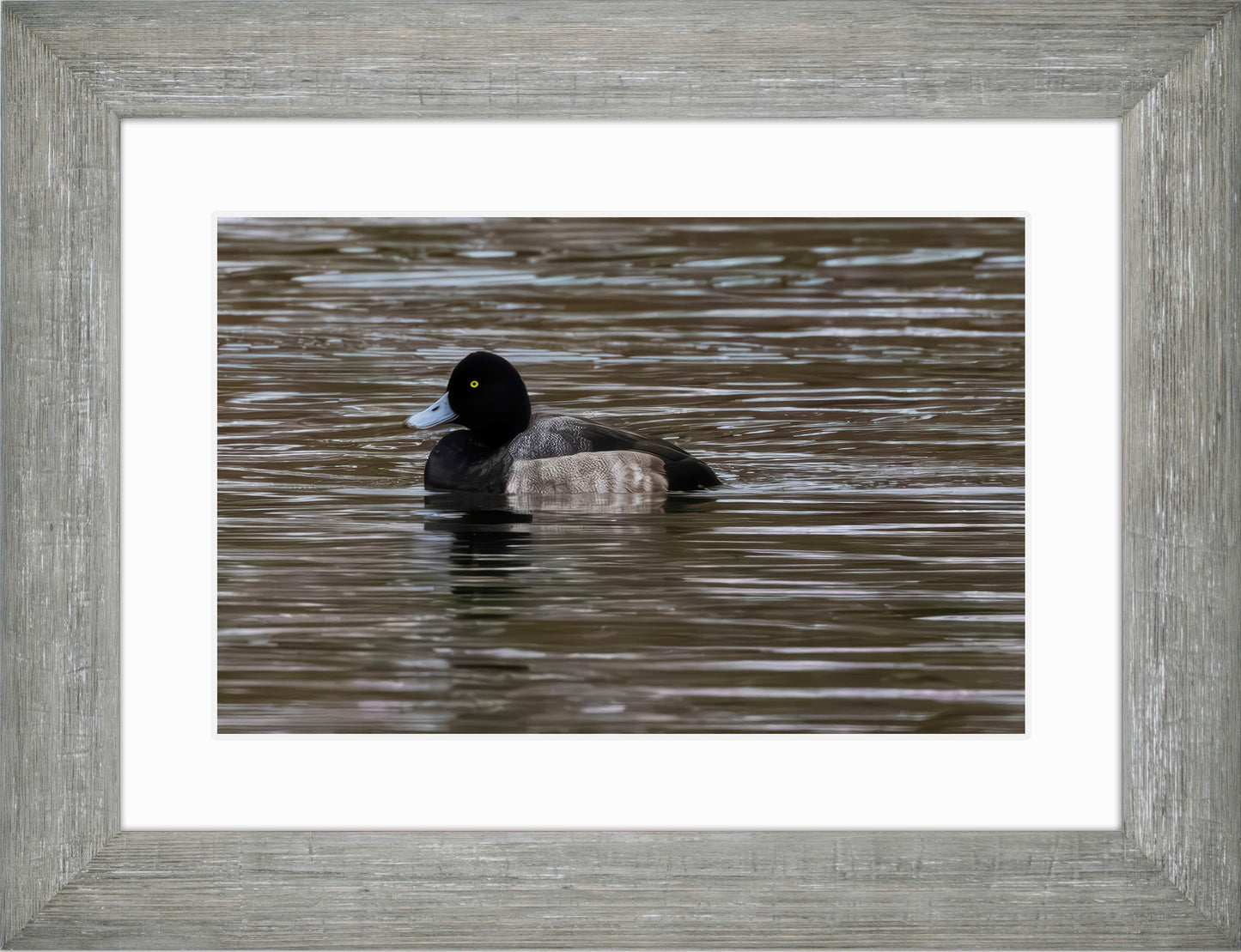 Solo Blue Bill Drake #1