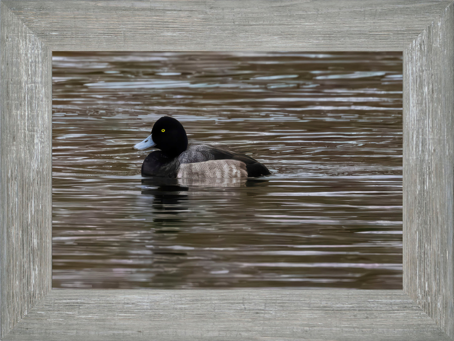 Solo Blue Bill Drake #1