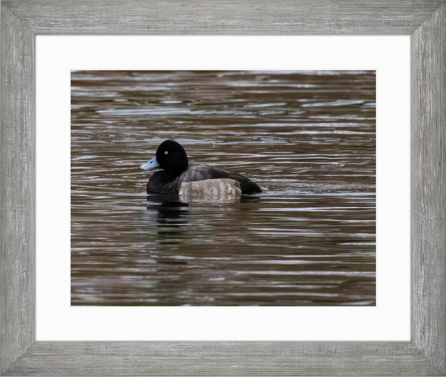 Solo Blue Bill Drake #1