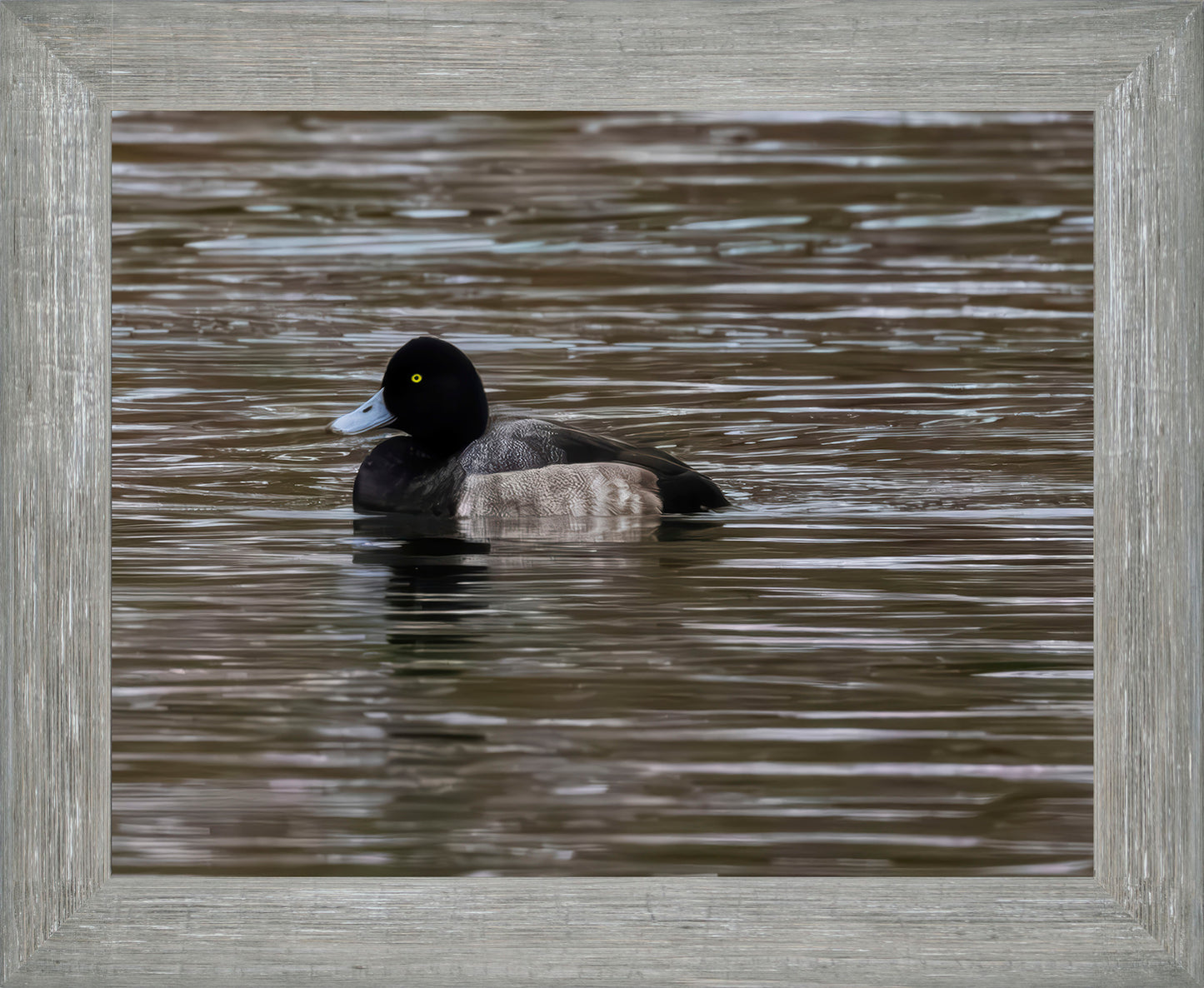 Solo Blue Bill Drake #1