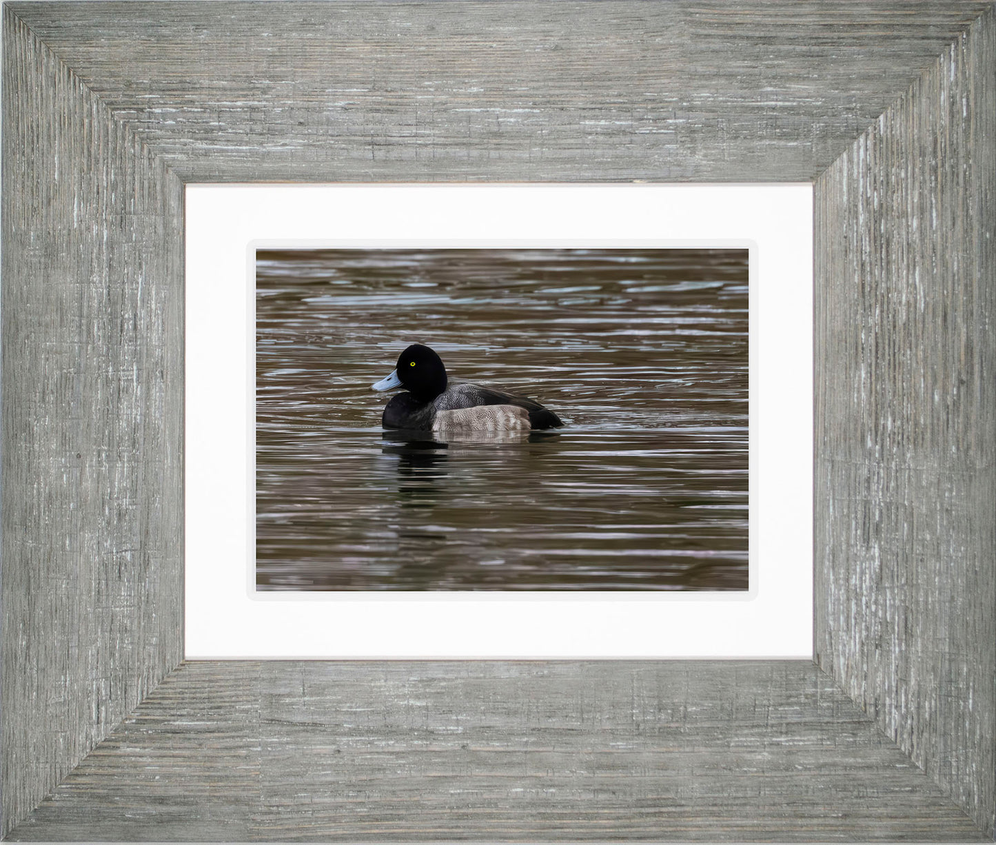 Solo Blue Bill Drake #1