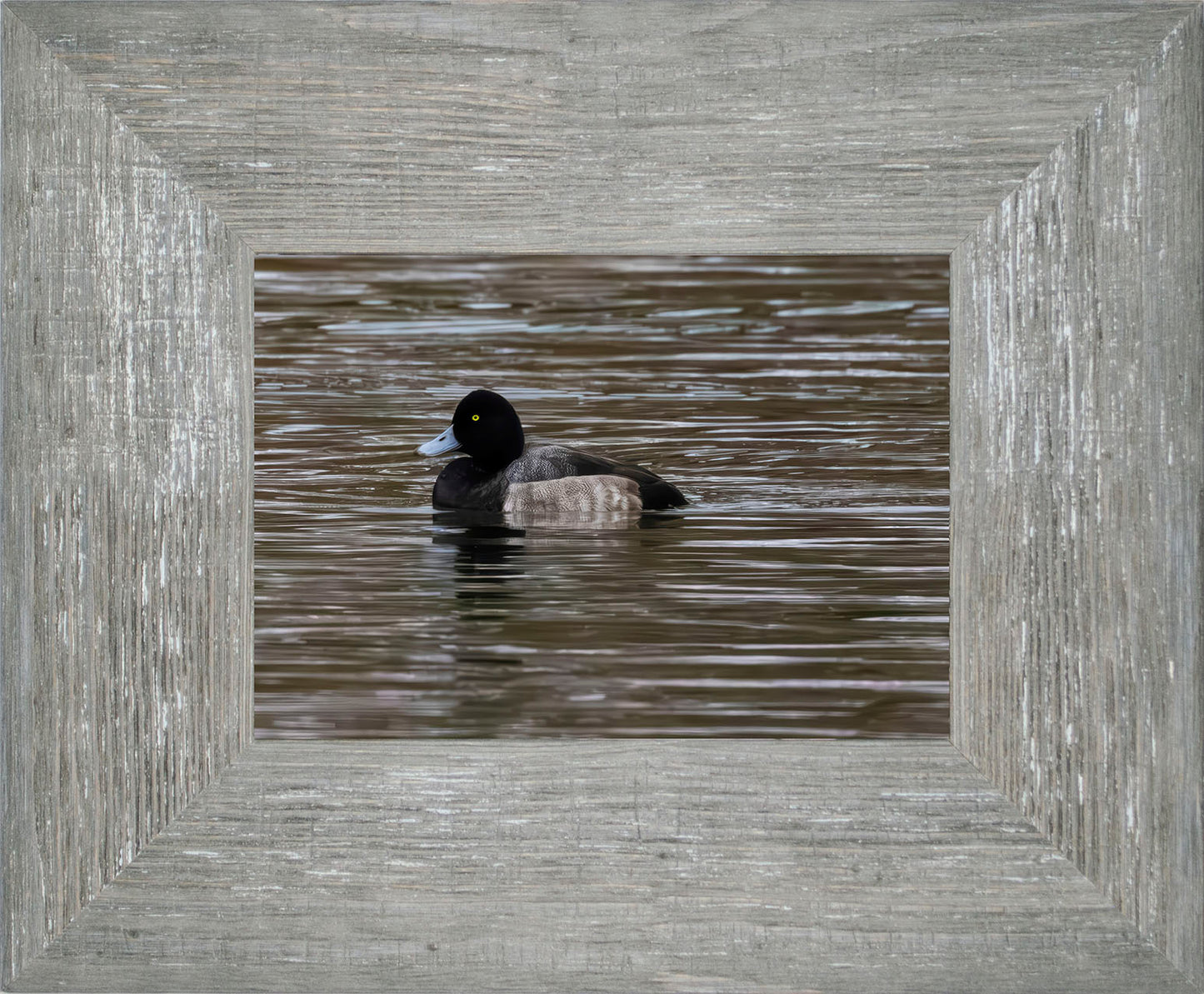 Solo Blue Bill Drake #1