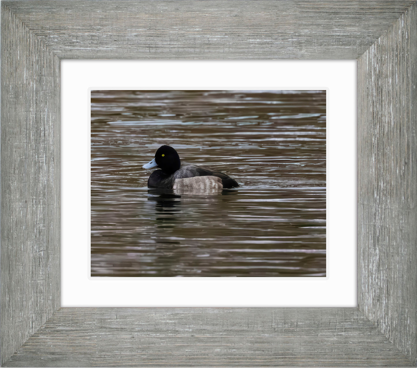 Solo Blue Bill Drake #1