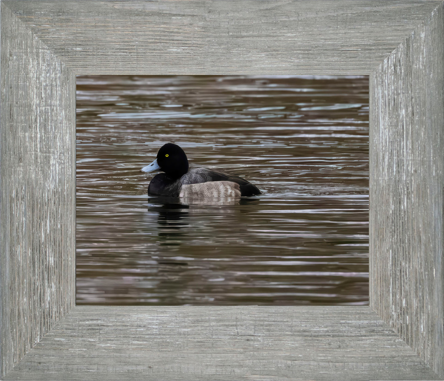 Solo Blue Bill Drake #1