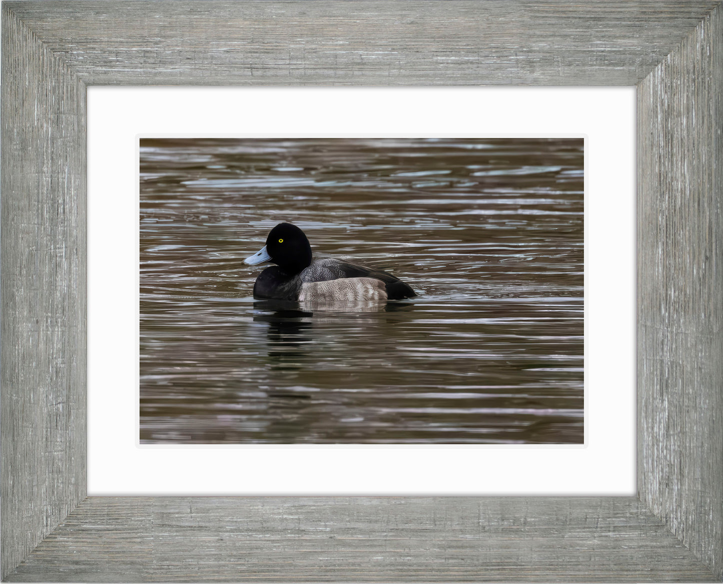 Solo Blue Bill Drake #1