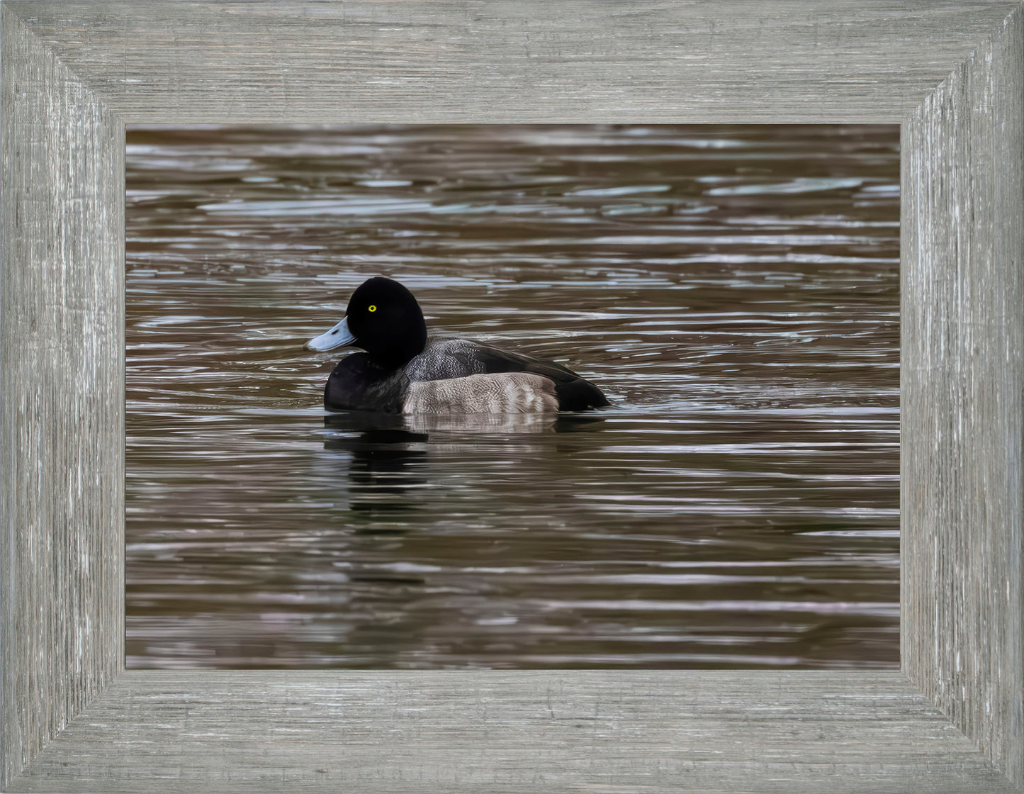 Solo Blue Bill Drake #1