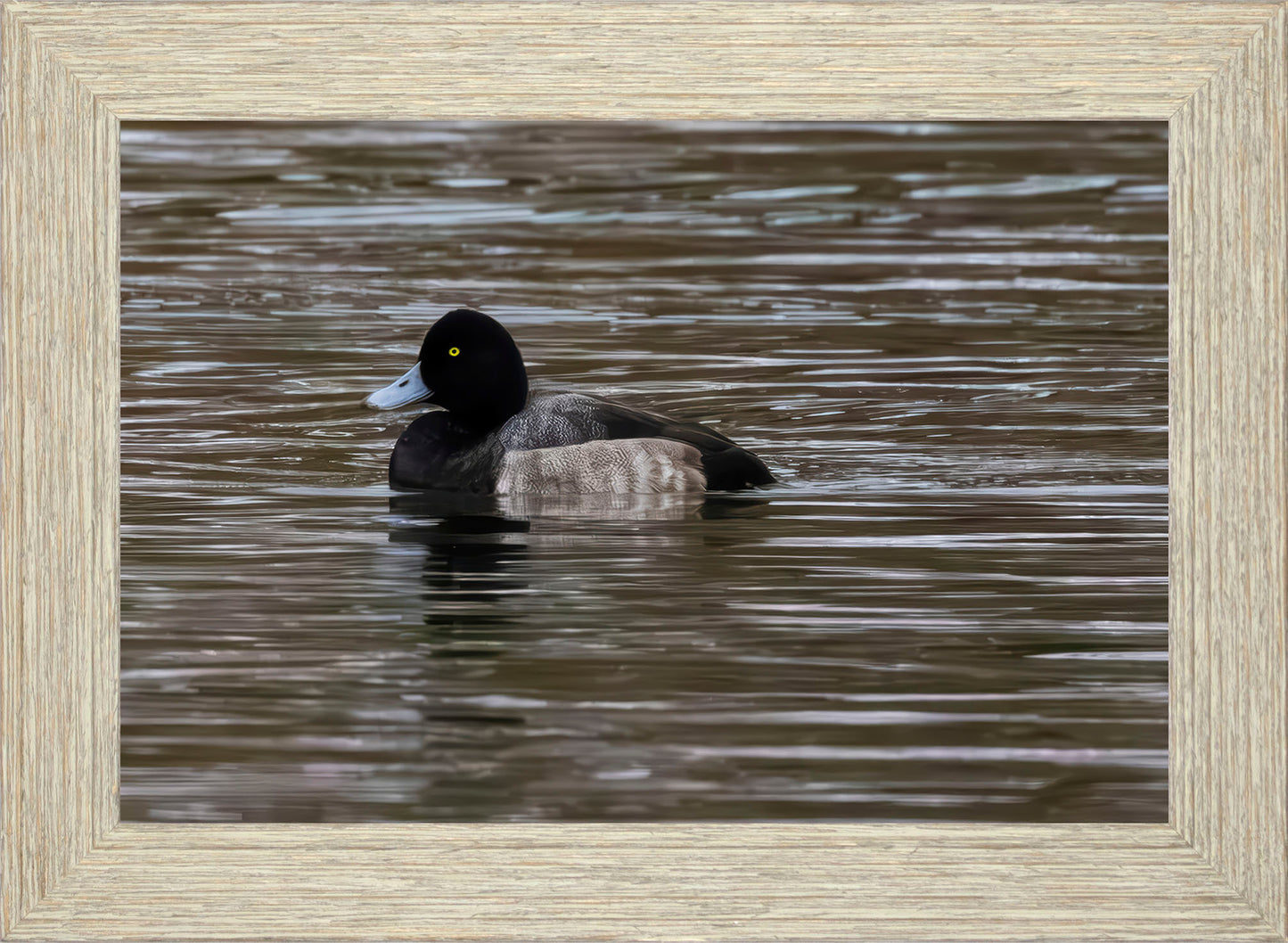 Solo Blue Bill Drake #1