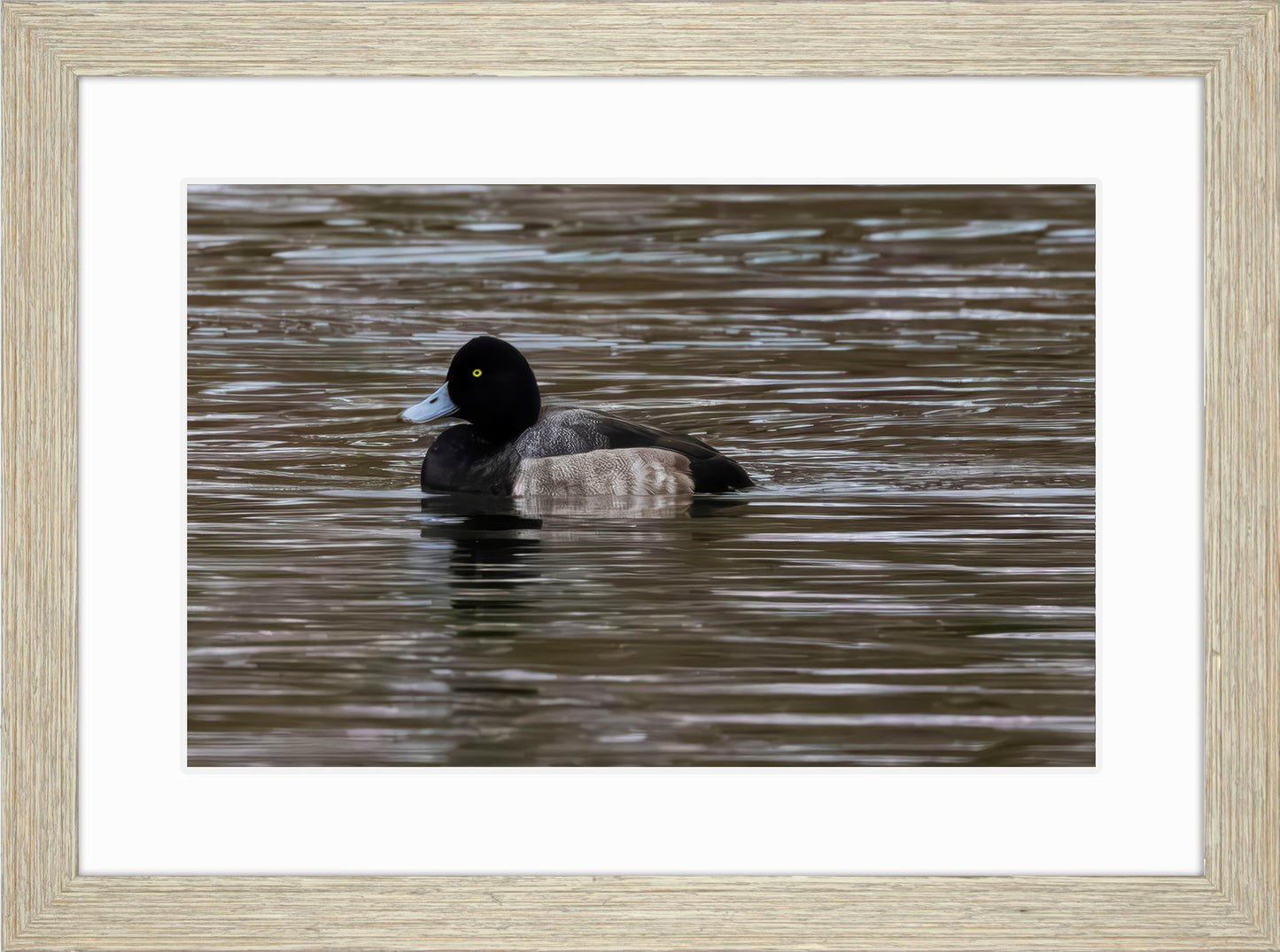 Solo Blue Bill Drake #1