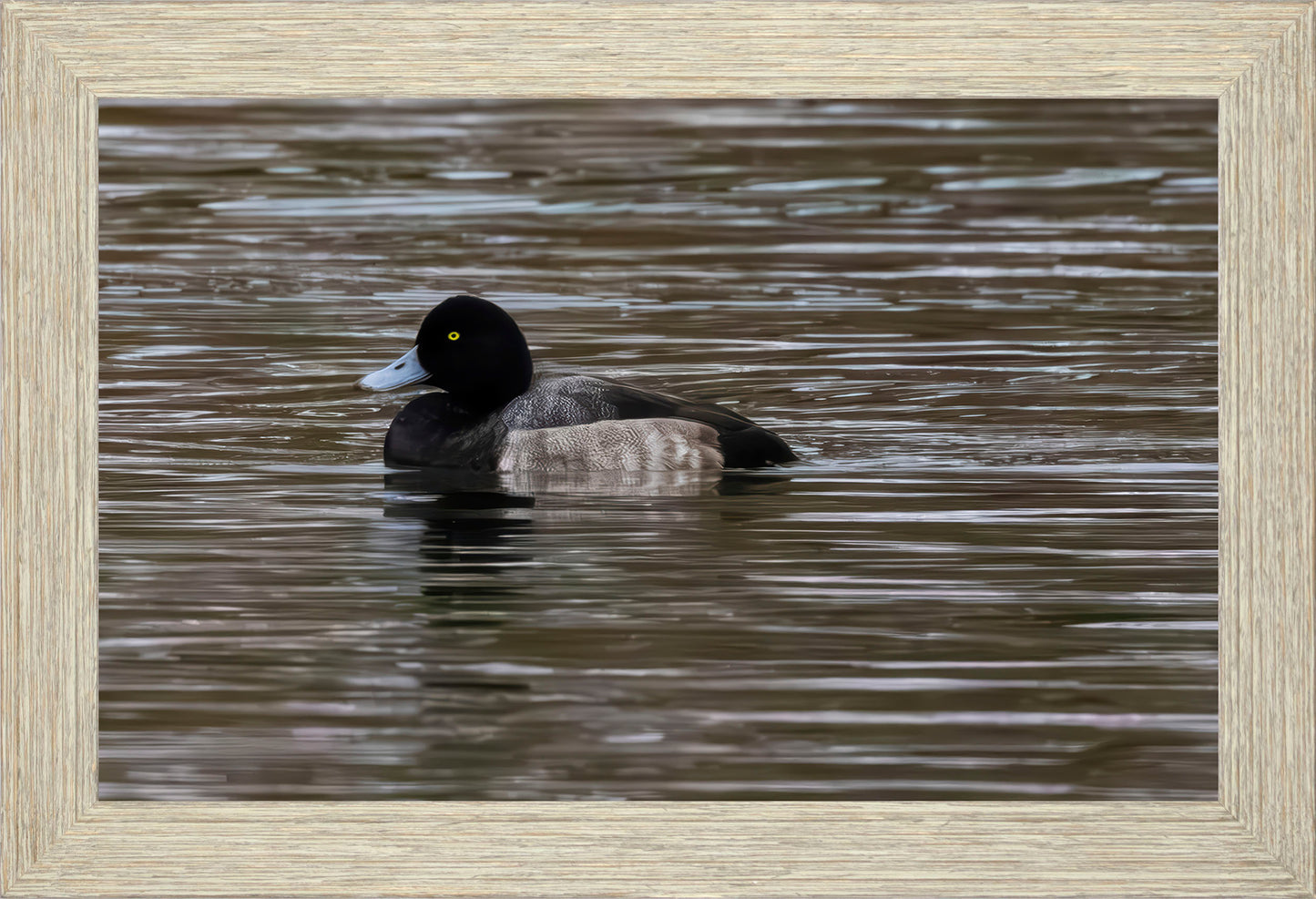 Solo Blue Bill Drake #1