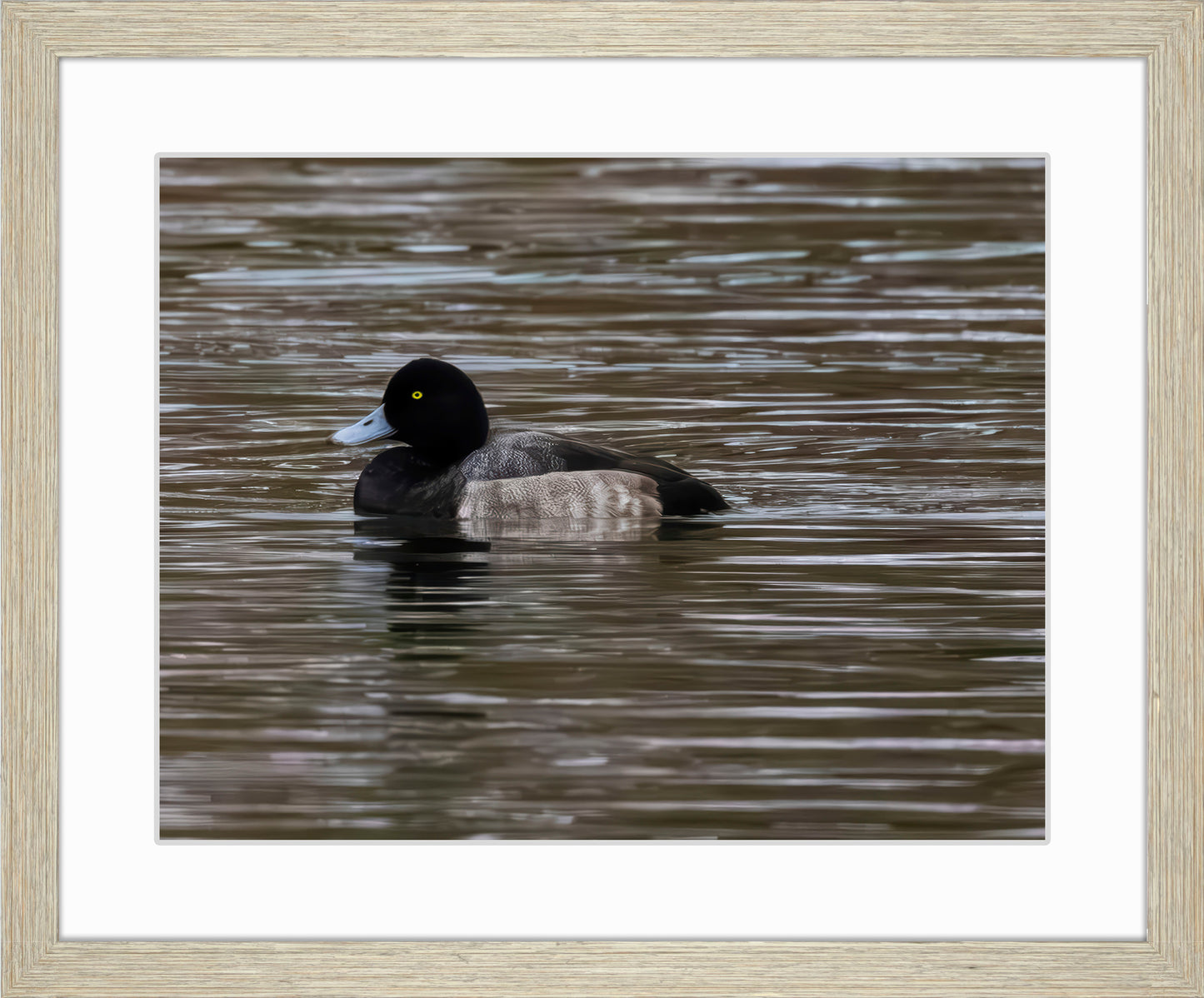 Solo Blue Bill Drake #1