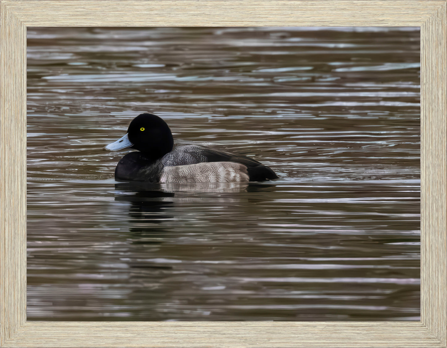 Solo Blue Bill Drake #1