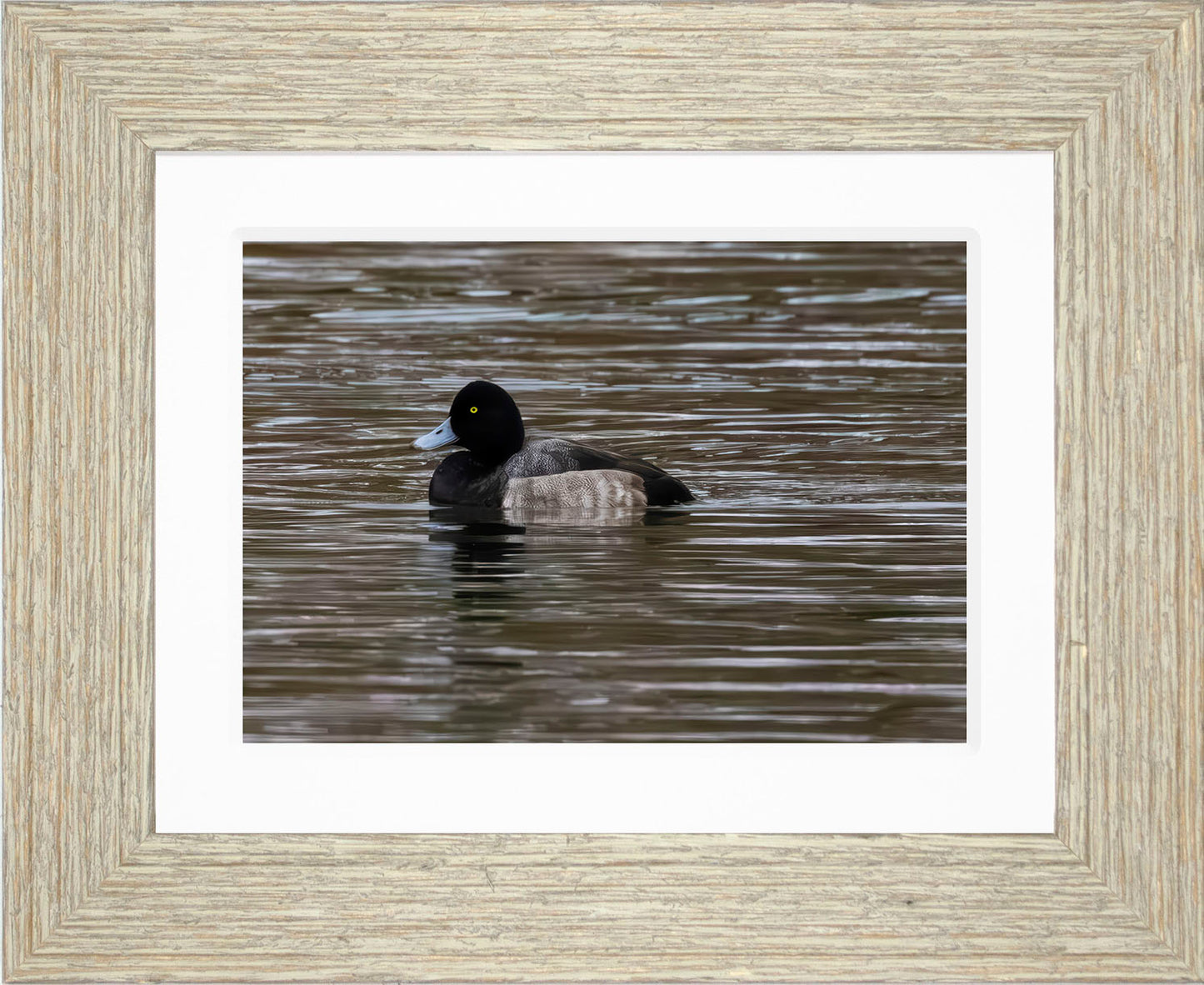 Solo Blue Bill Drake #1