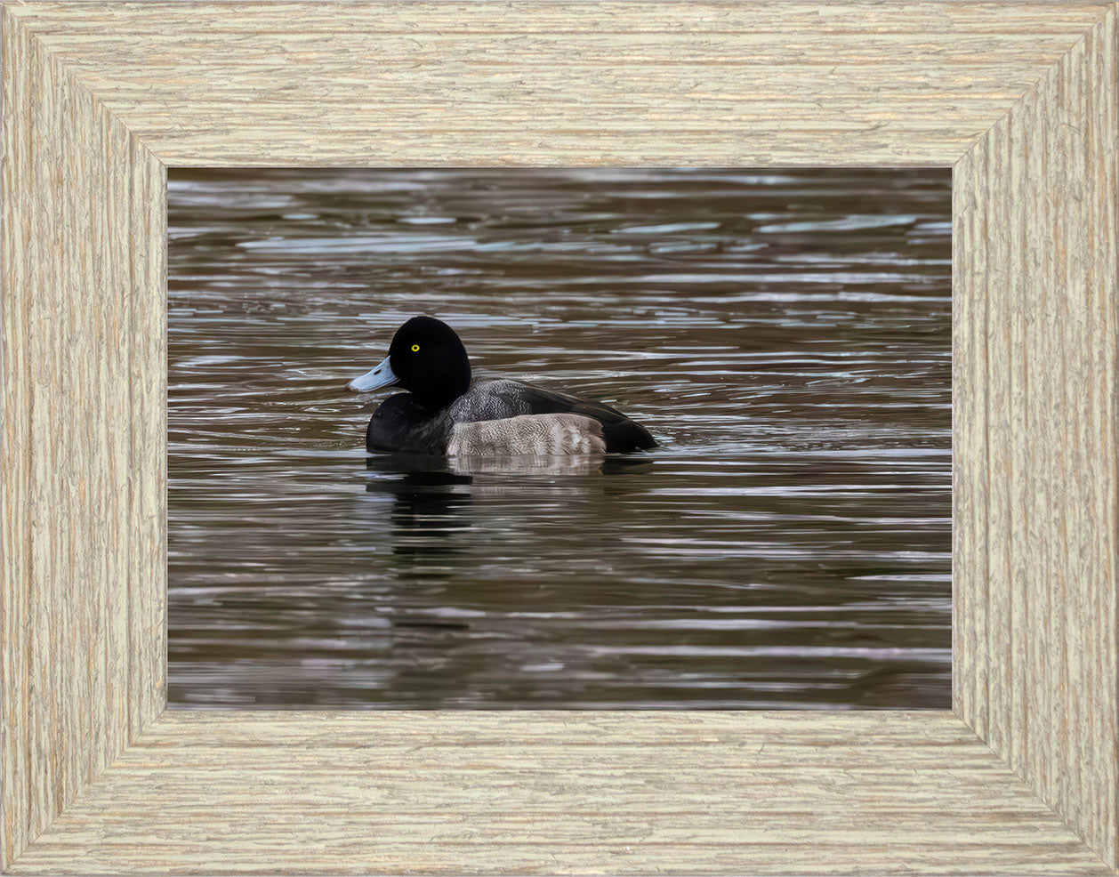 Solo Blue Bill Drake #1