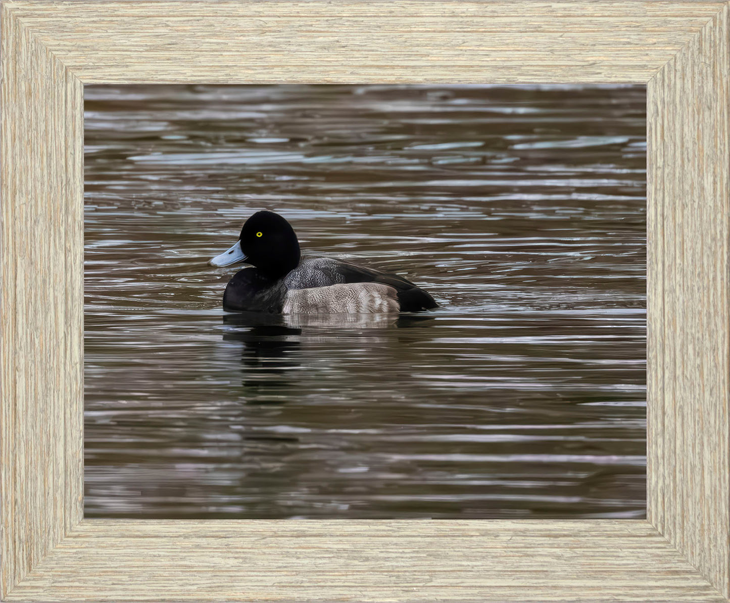 Solo Blue Bill Drake #1