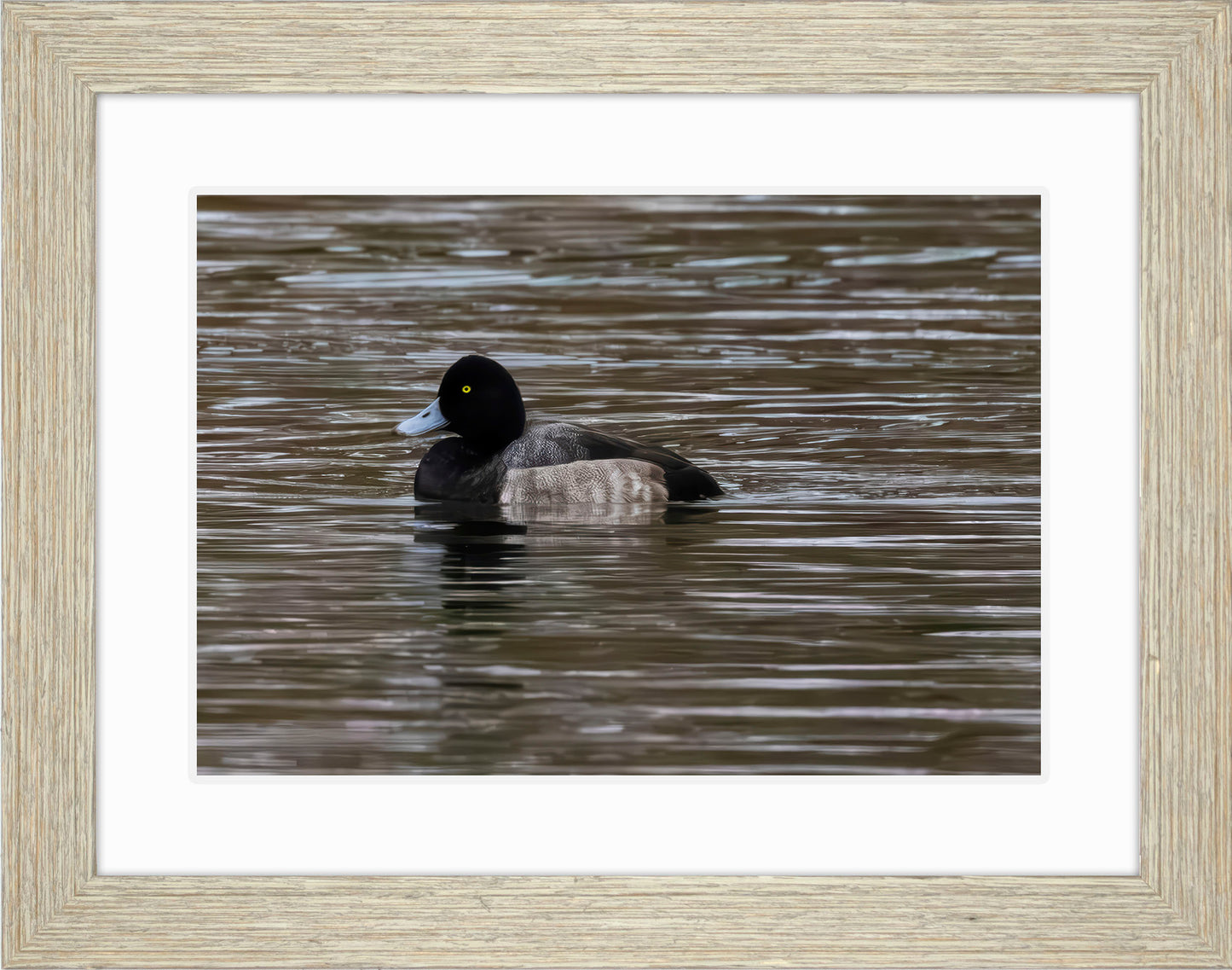 Solo Blue Bill Drake #1