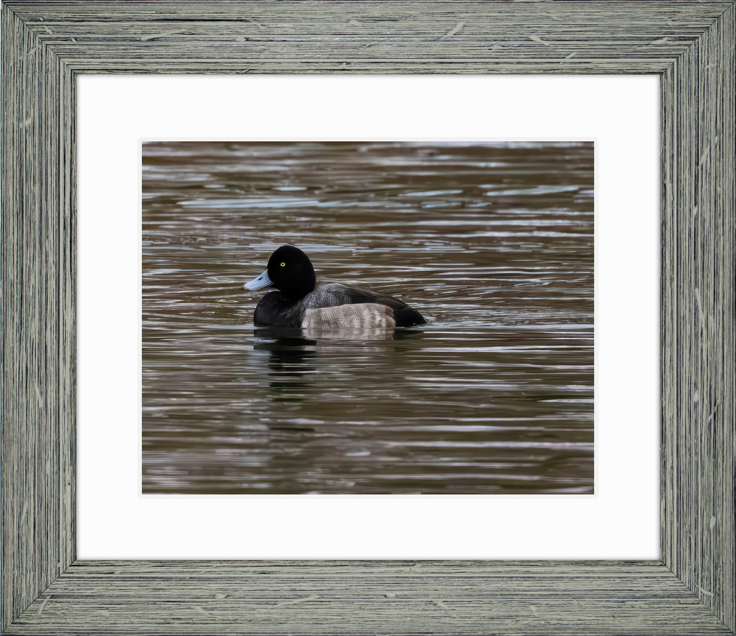 Solo Blue Bill Drake #1