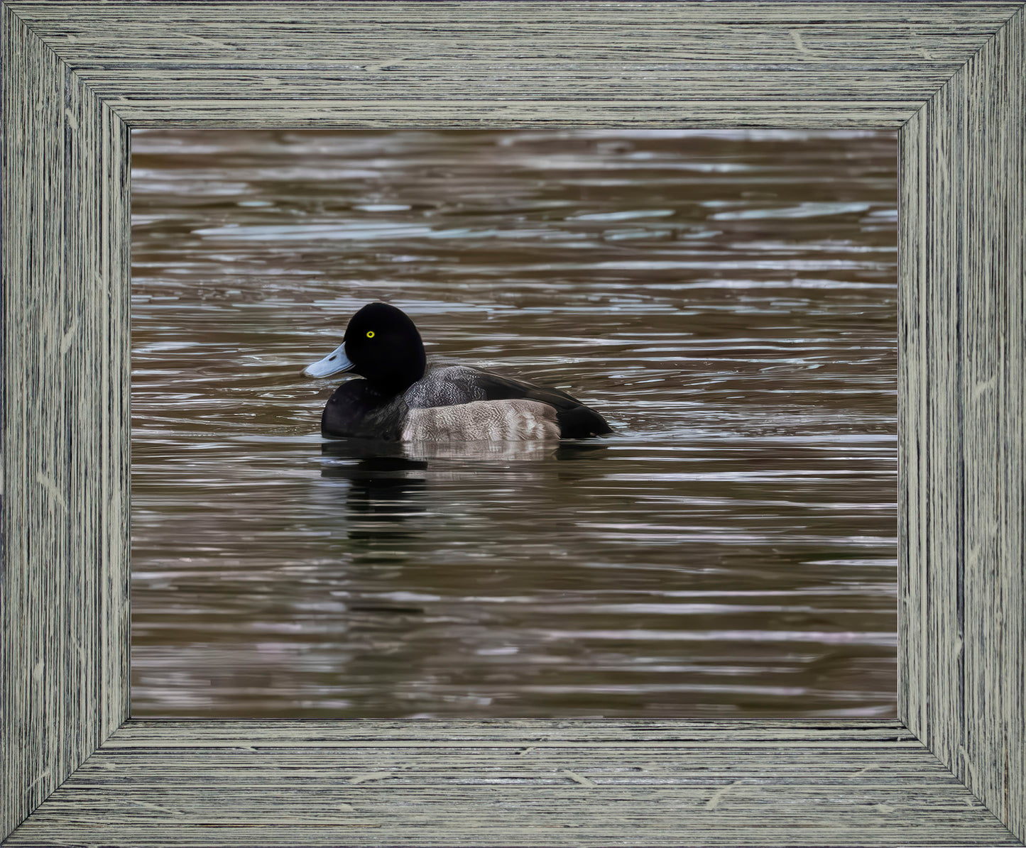 Solo Blue Bill Drake #1