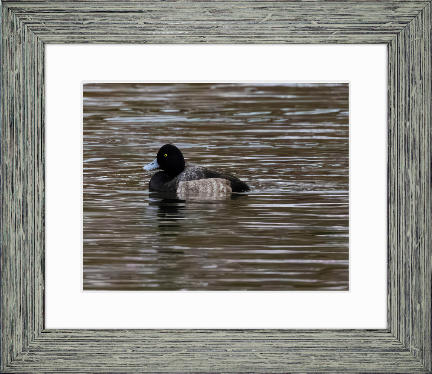 Solo Blue Bill Drake #1