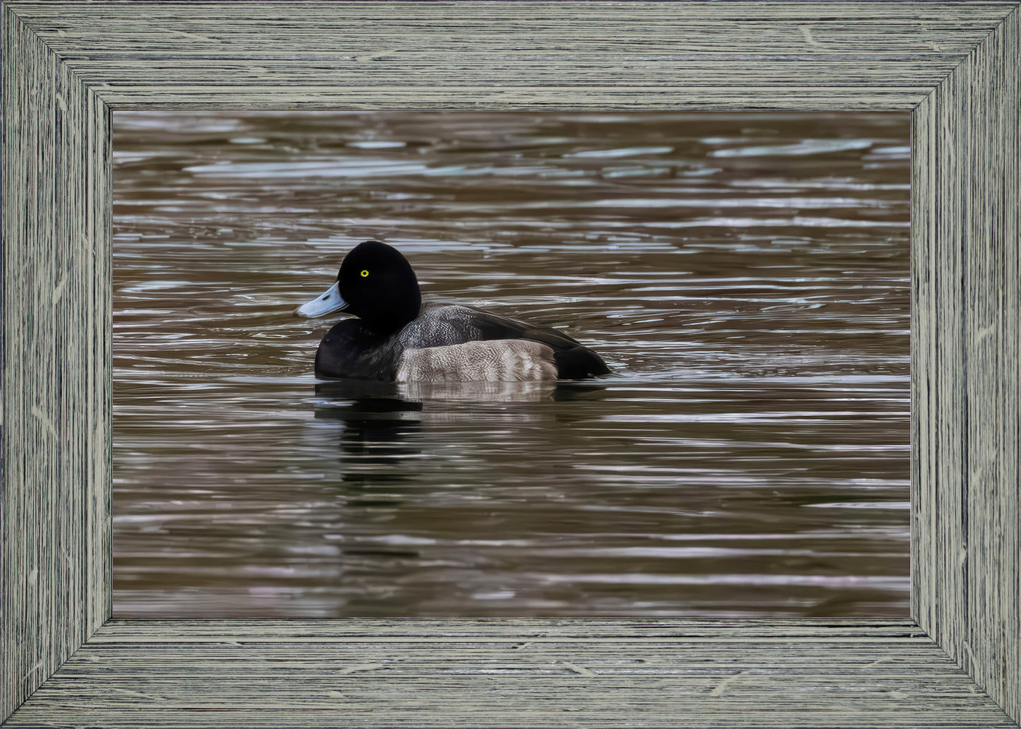 Solo Blue Bill Drake #1