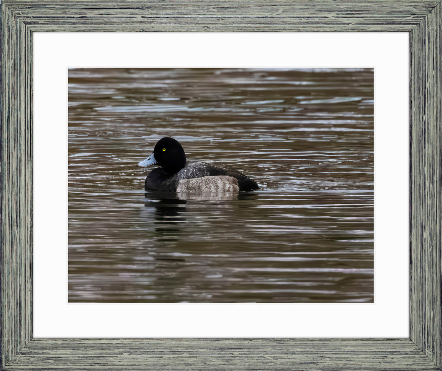 Solo Blue Bill Drake #1