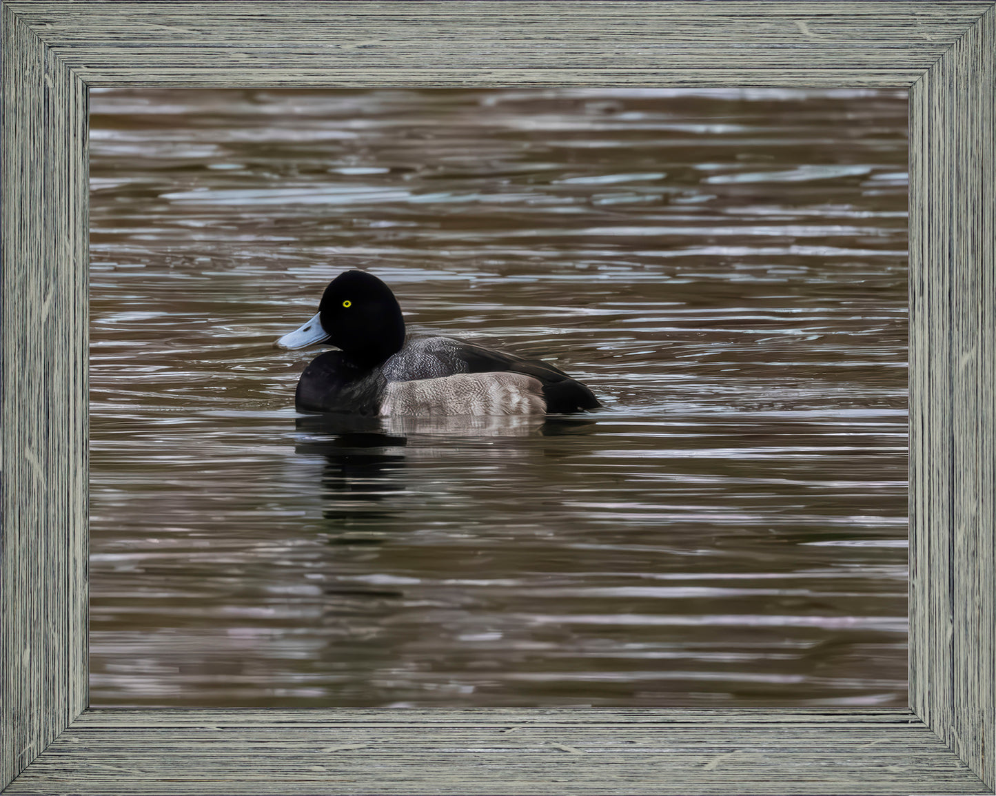 Solo Blue Bill Drake #1