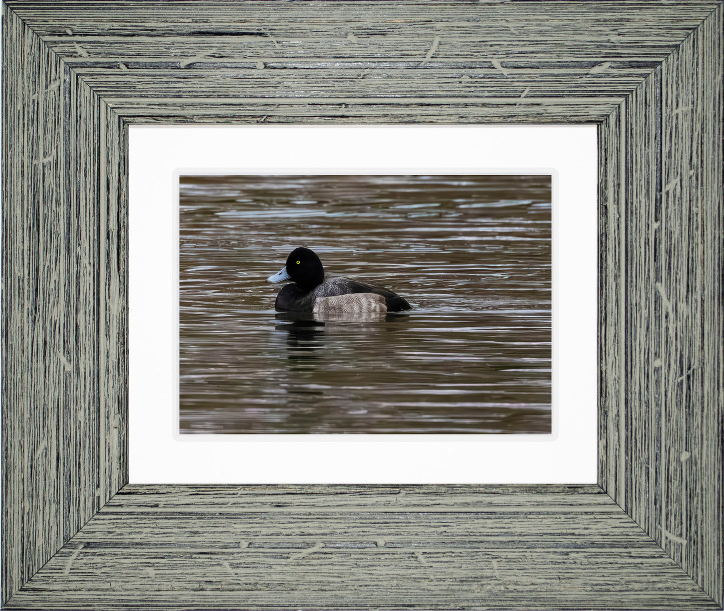 Solo Blue Bill Drake #1