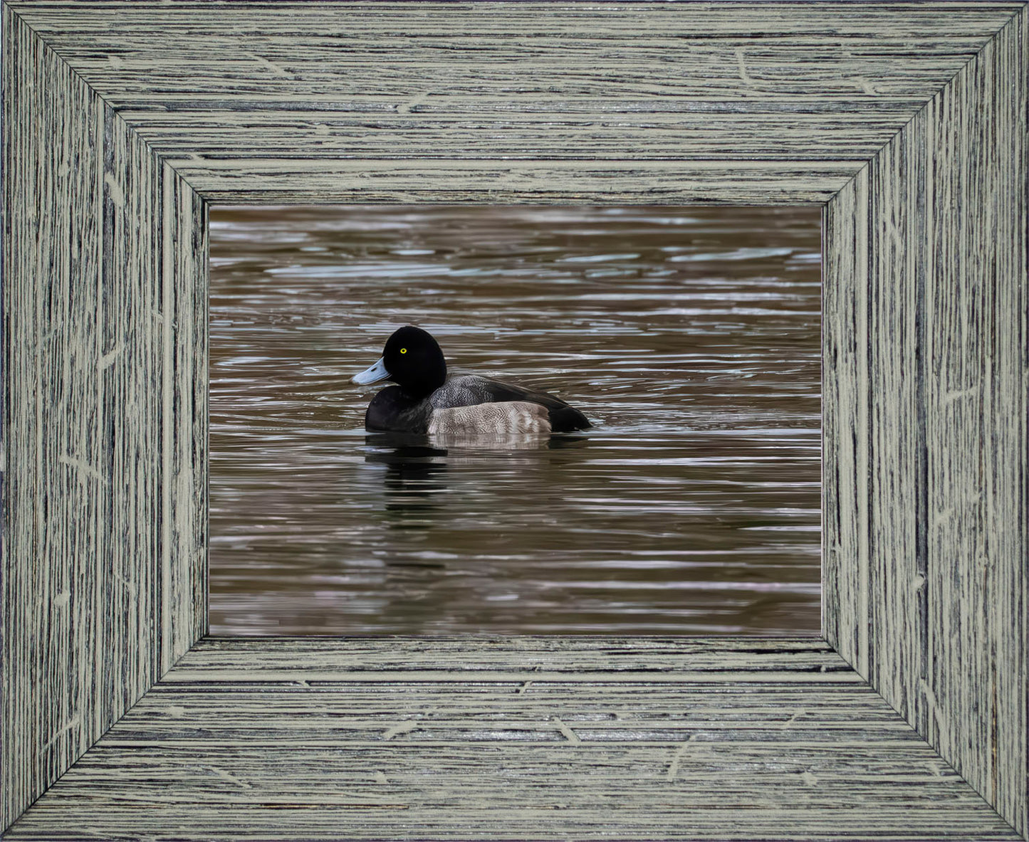 Solo Blue Bill Drake #1