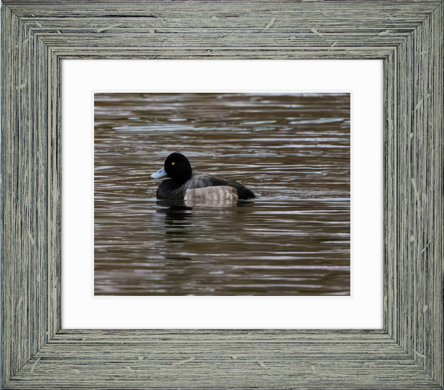 Solo Blue Bill Drake #1