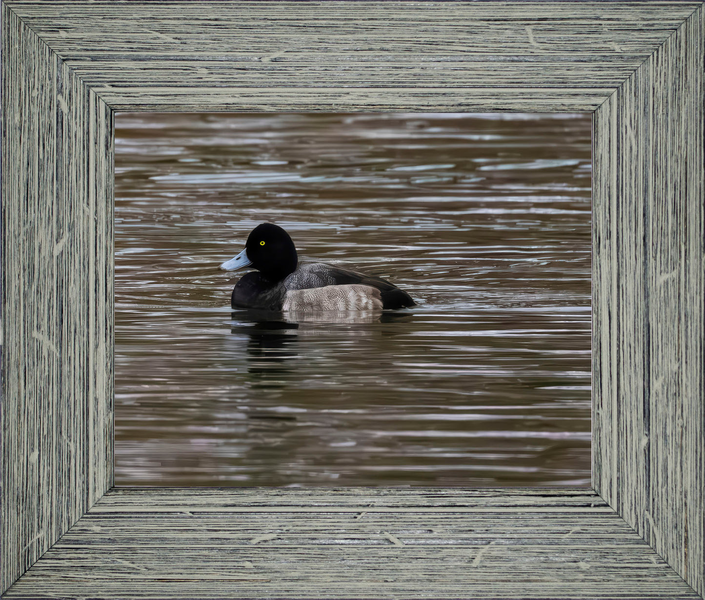 Solo Blue Bill Drake #1