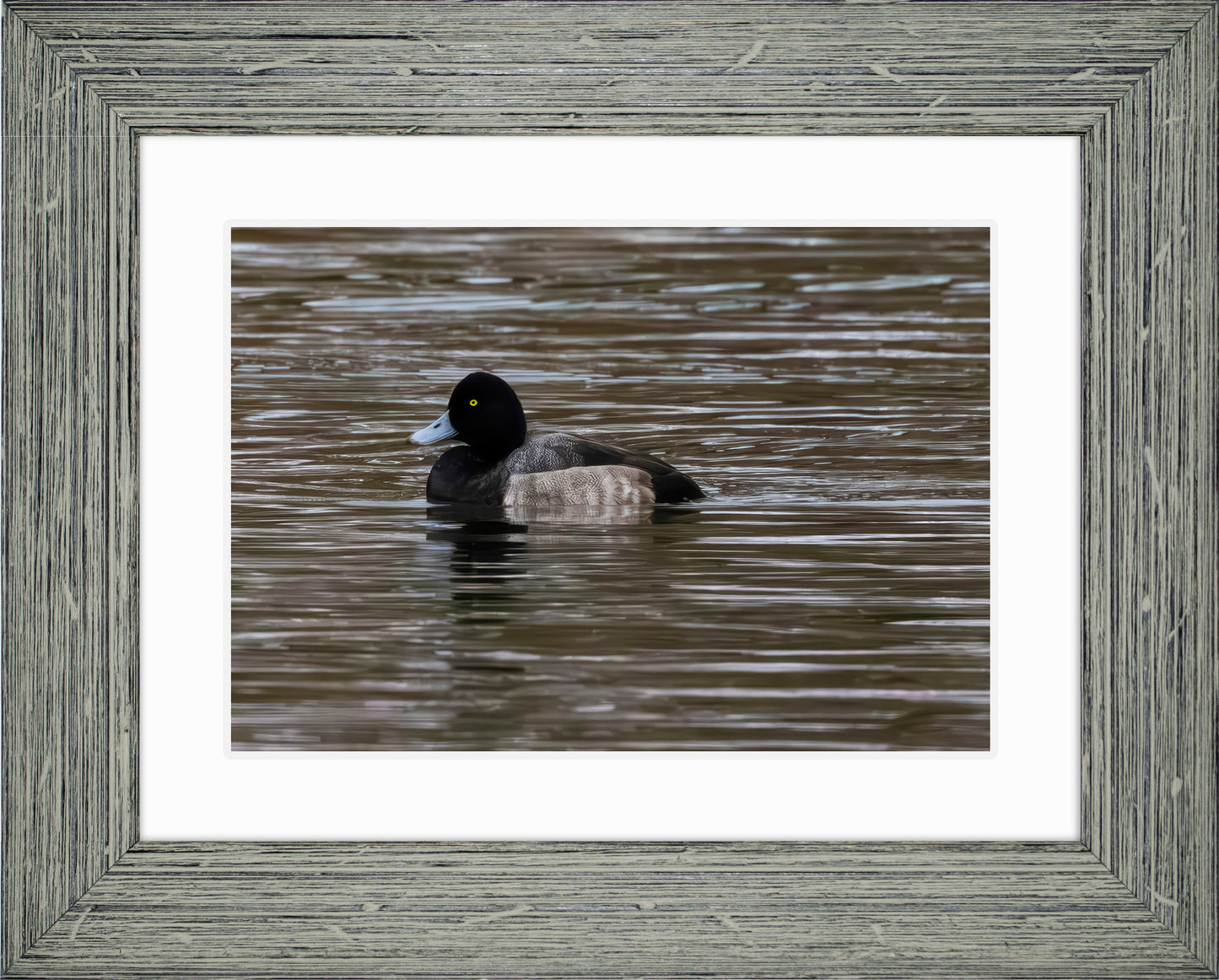 Solo Blue Bill Drake #1